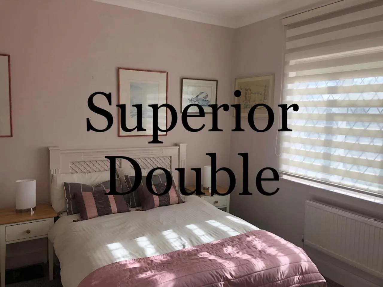 Superior Double Room - single occupancy in Elmcroft Guest House
