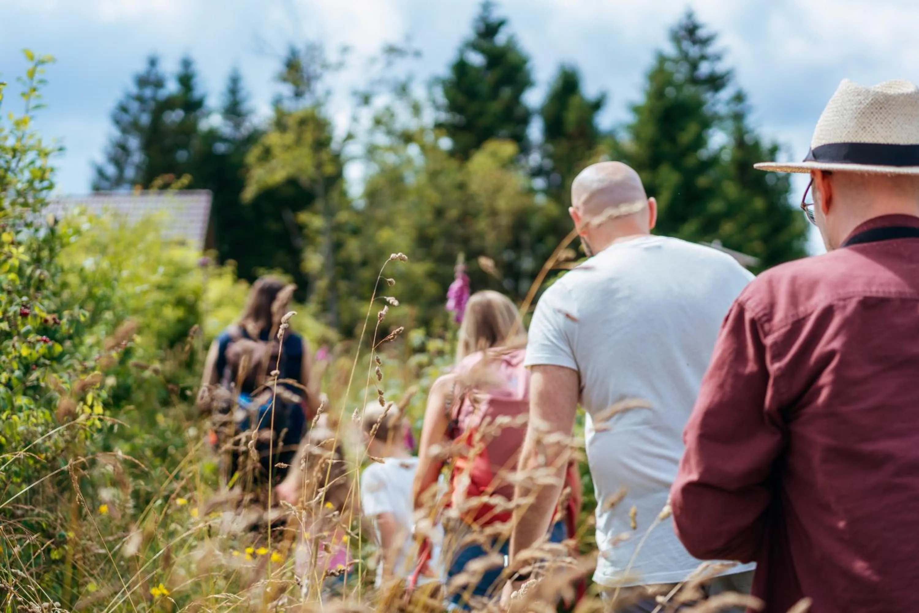 Area and facilities in Torfhaus Harzresort
