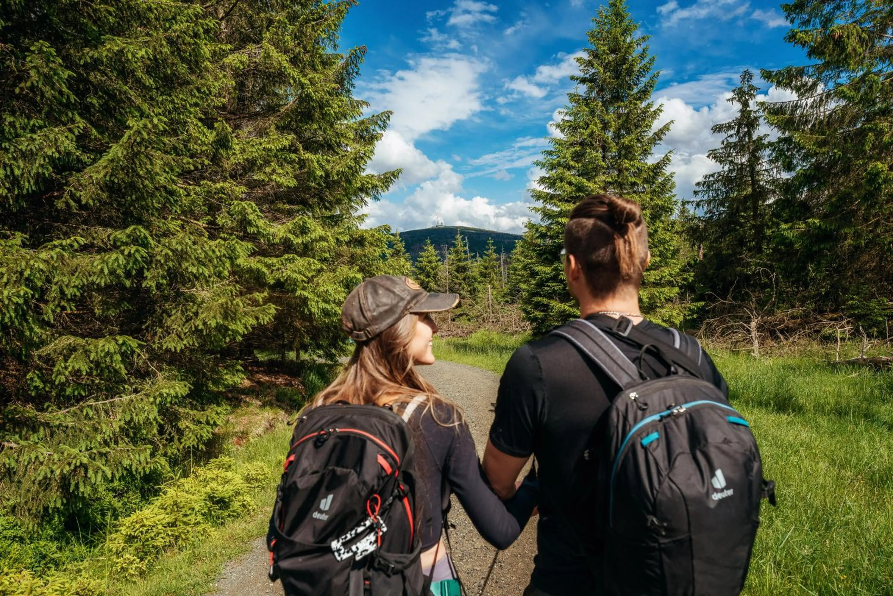 View (from property/room) in Torfhaus Harzresort