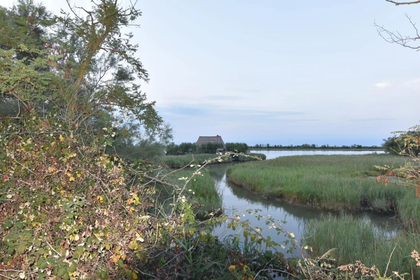 Natural landscape in Hotel Atenea Golden Star