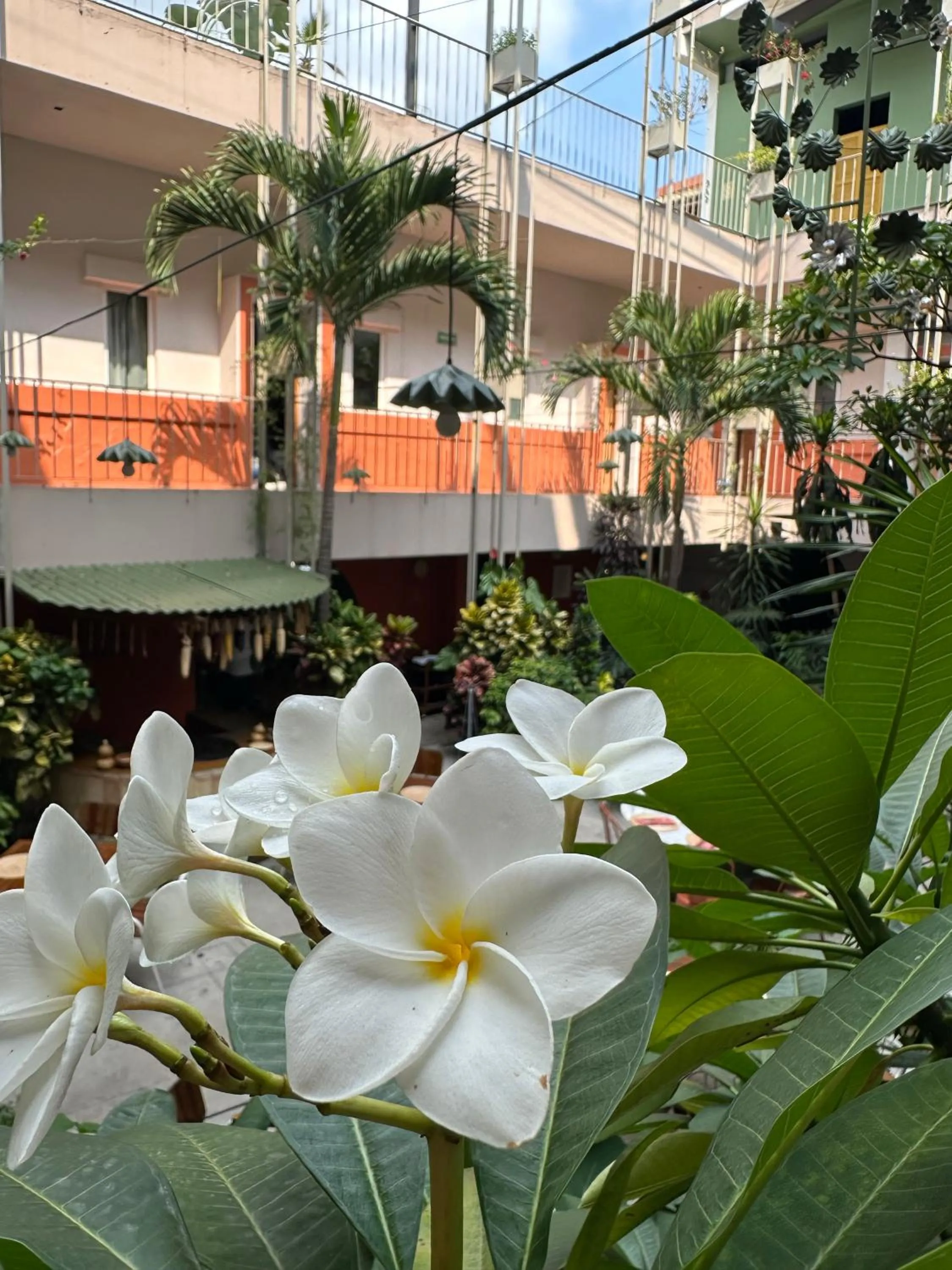 Flor de Mayo Hotel & Restaurant