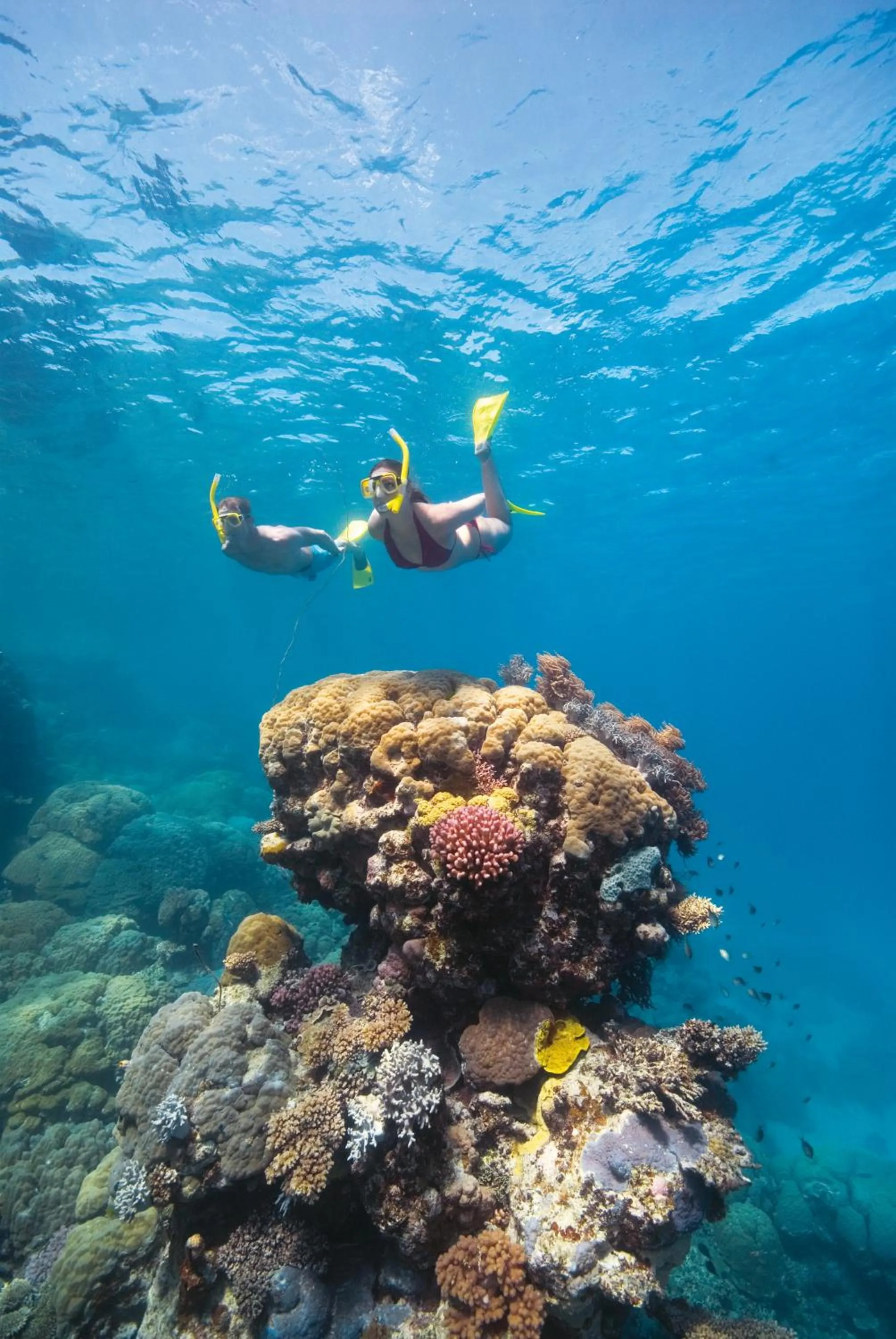 Activities in Elysian Luxury Eco Island Retreat