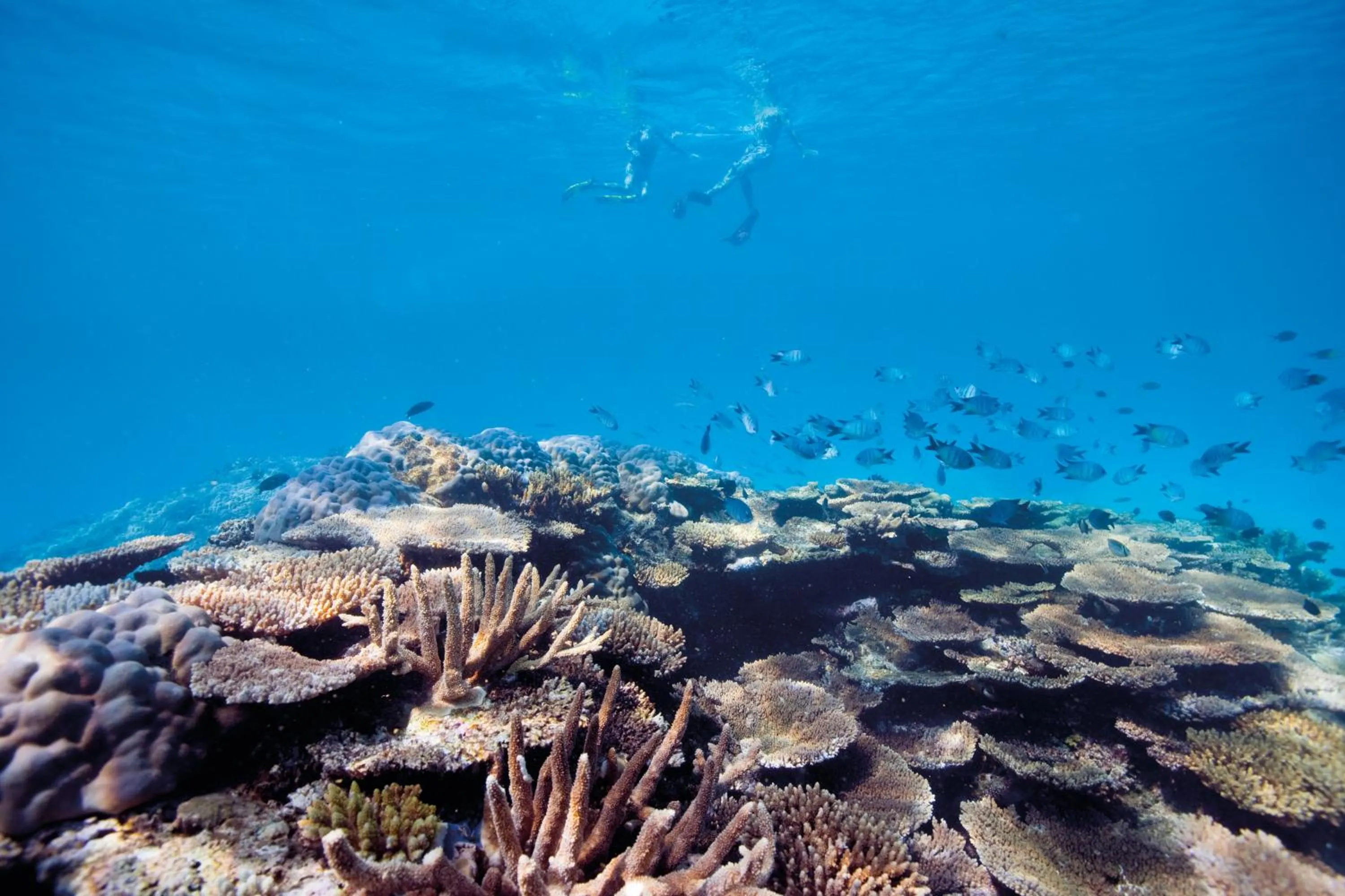 Natural landscape in Elysian Luxury Eco Island Retreat