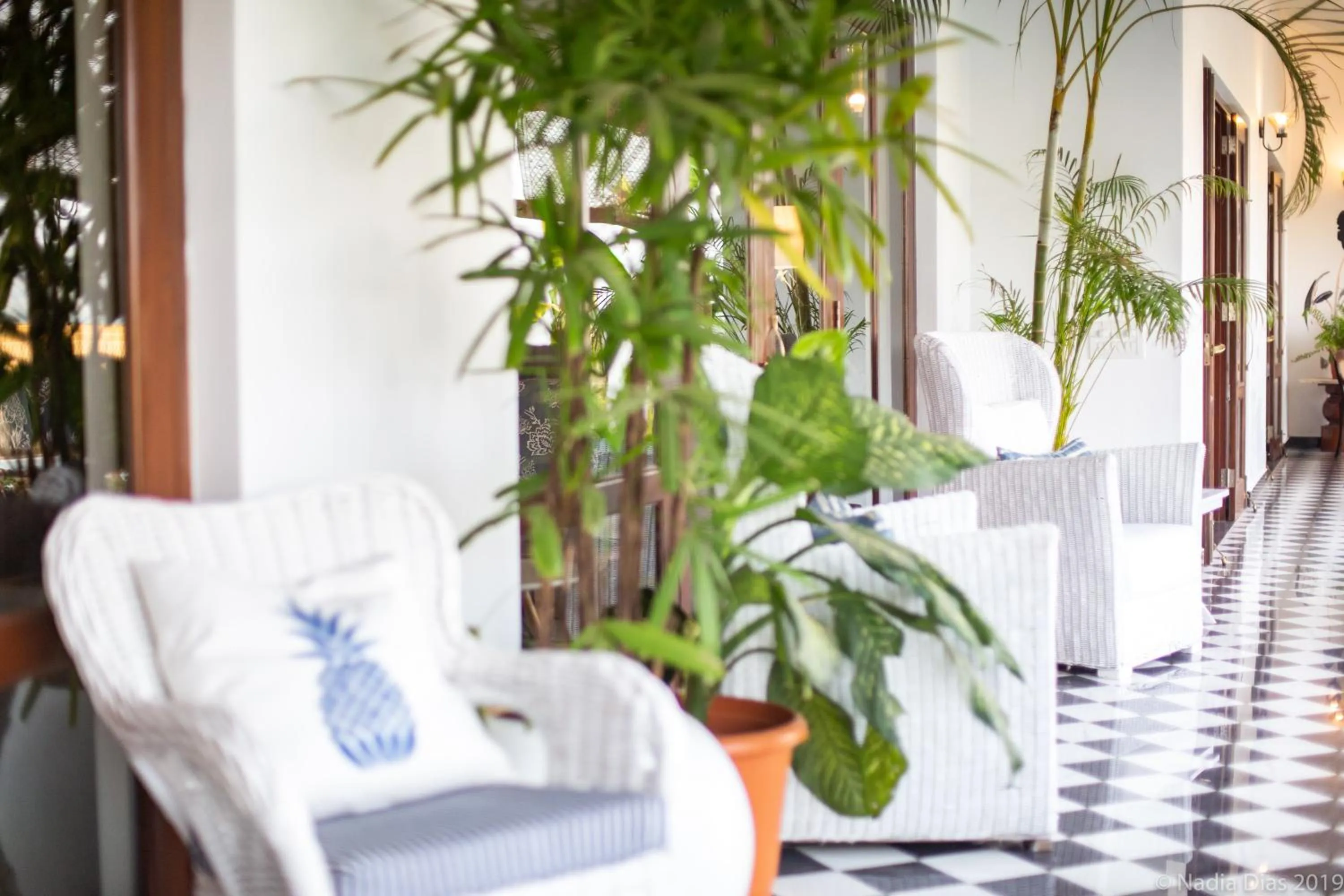 Balcony/Terrace in Casa Britona