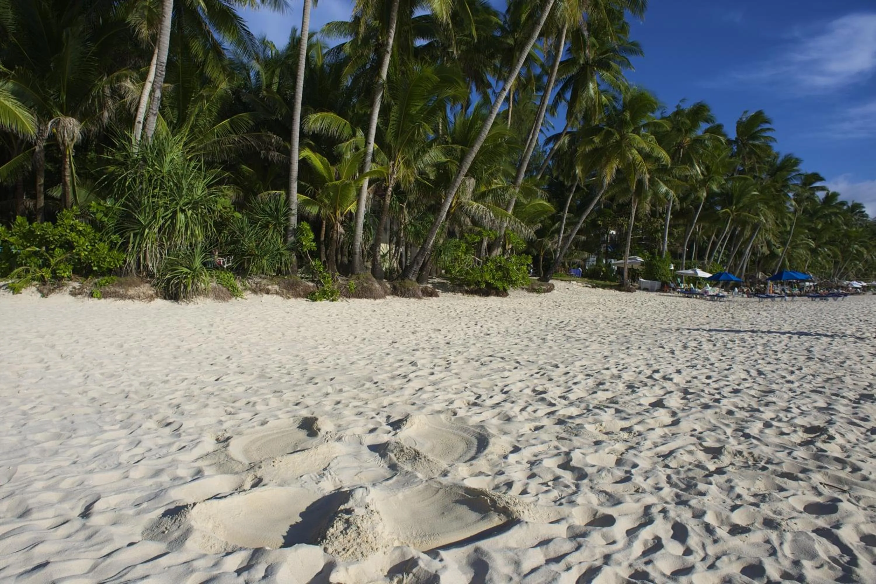 Beach in DiveGurus Boracay Beach Resort