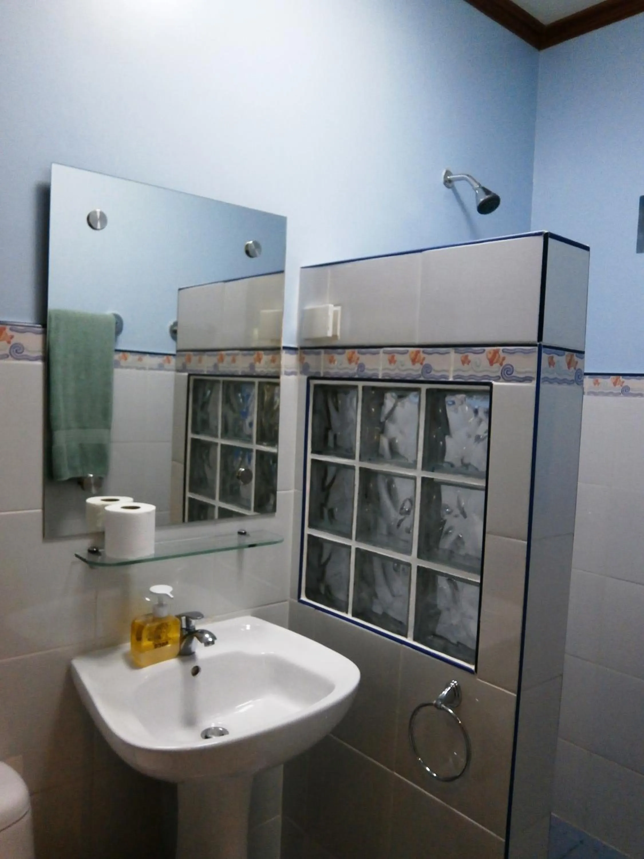 Bathroom in DiveGurus Boracay Beach Resort