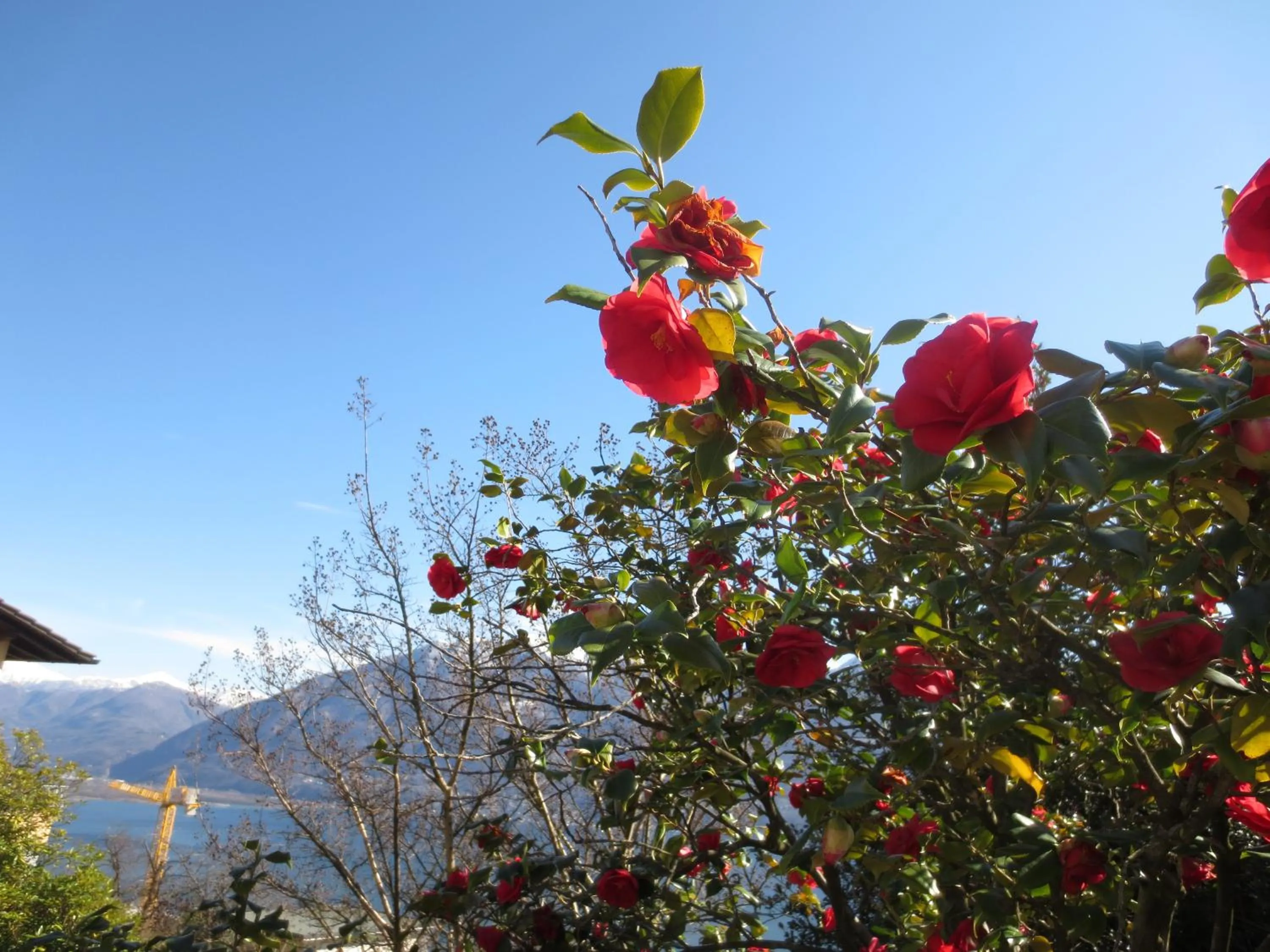 Summer in Casa Rabissale
