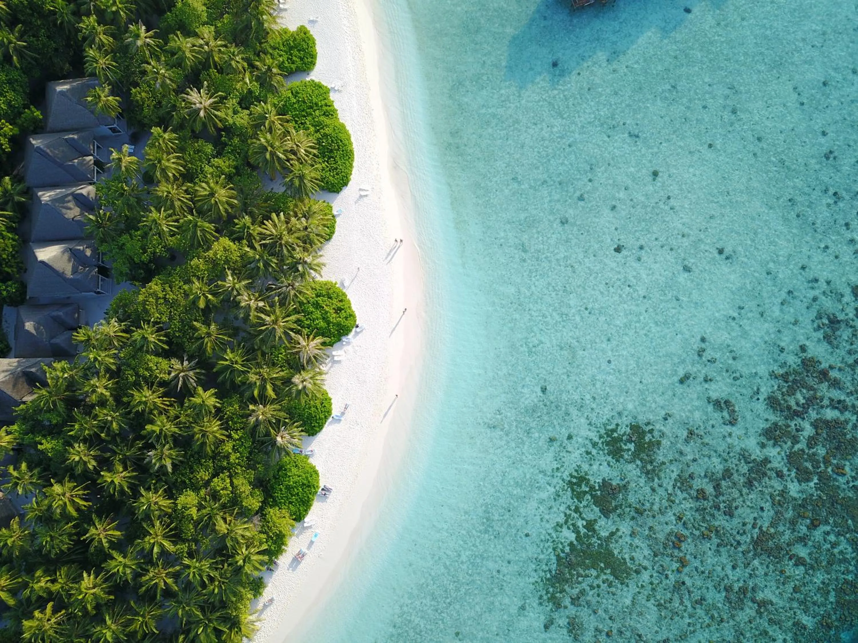 Bird's eye view in Fihalhohi Maldives