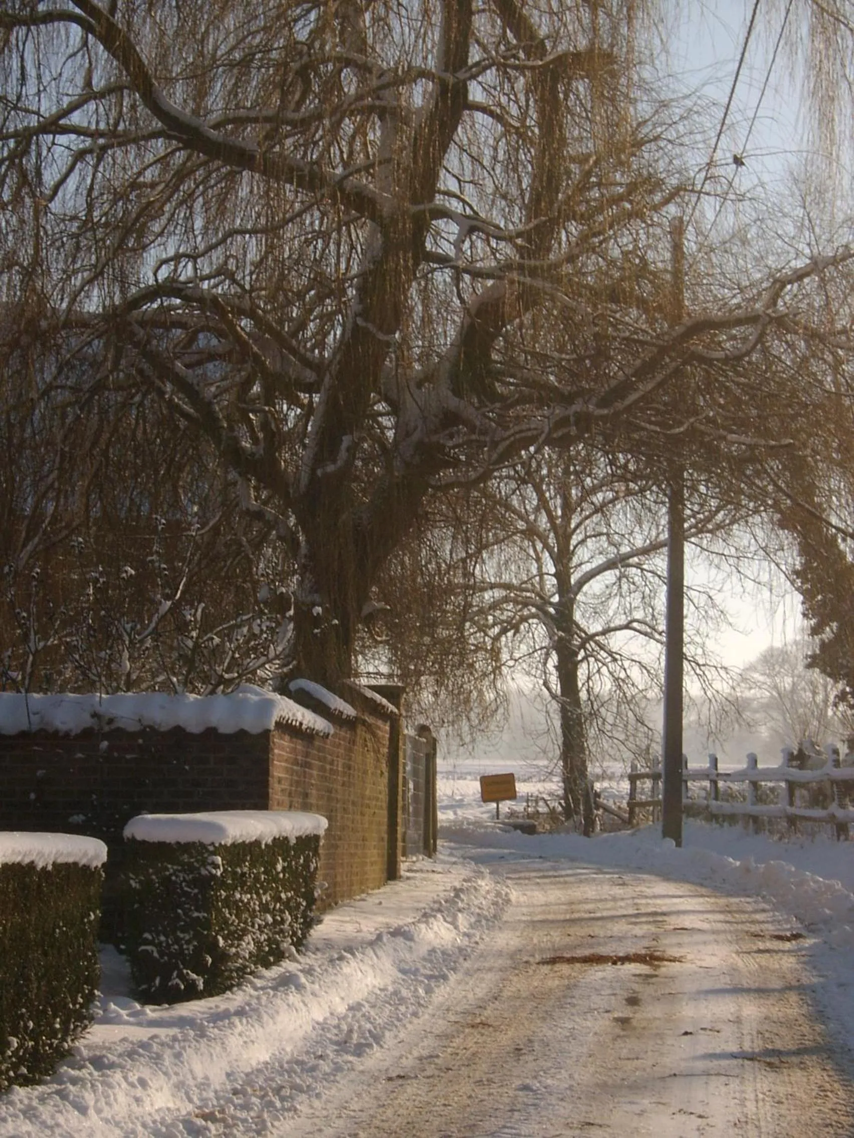 Neighbourhood in B&B De Pepelinck