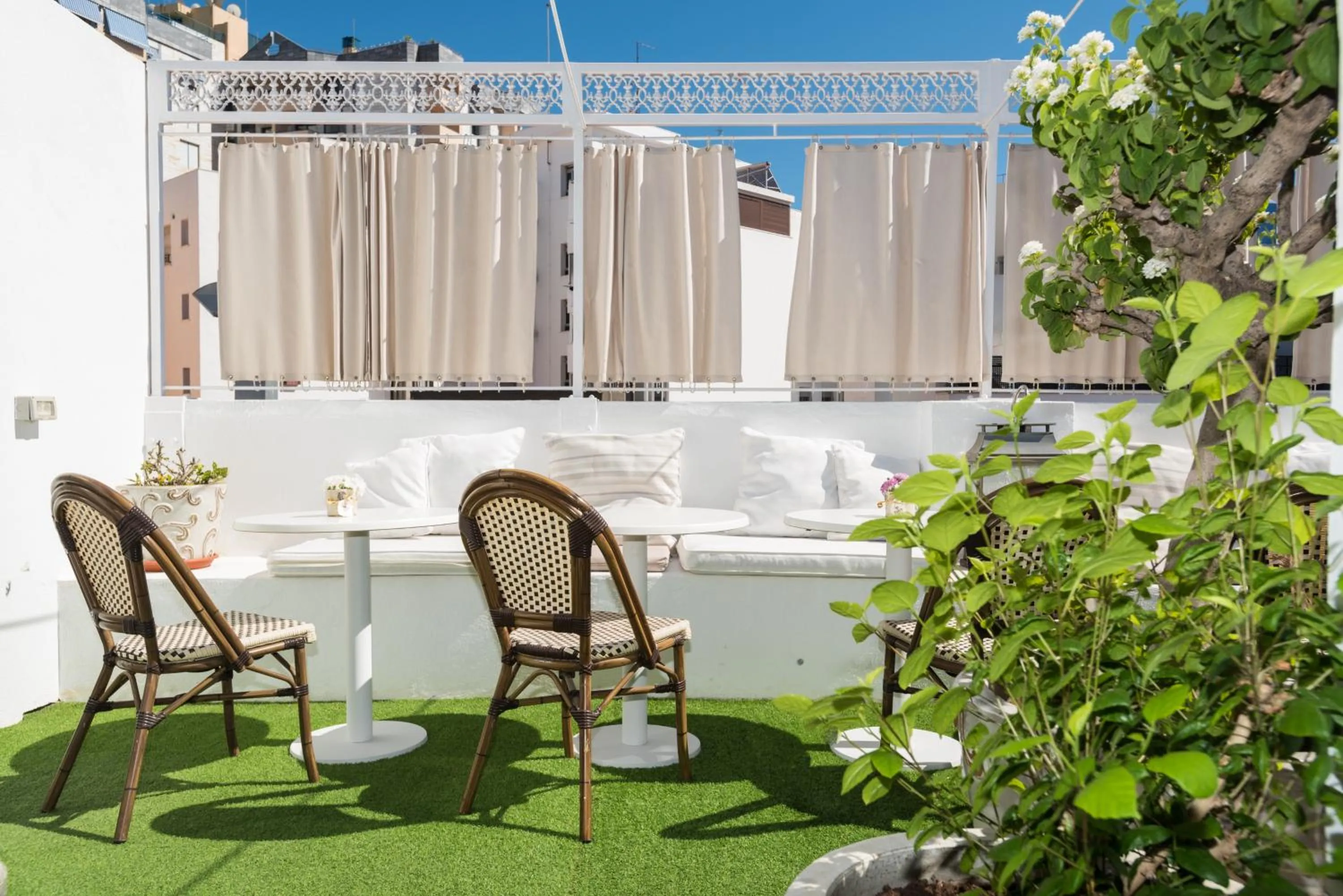 Garden in The Town House