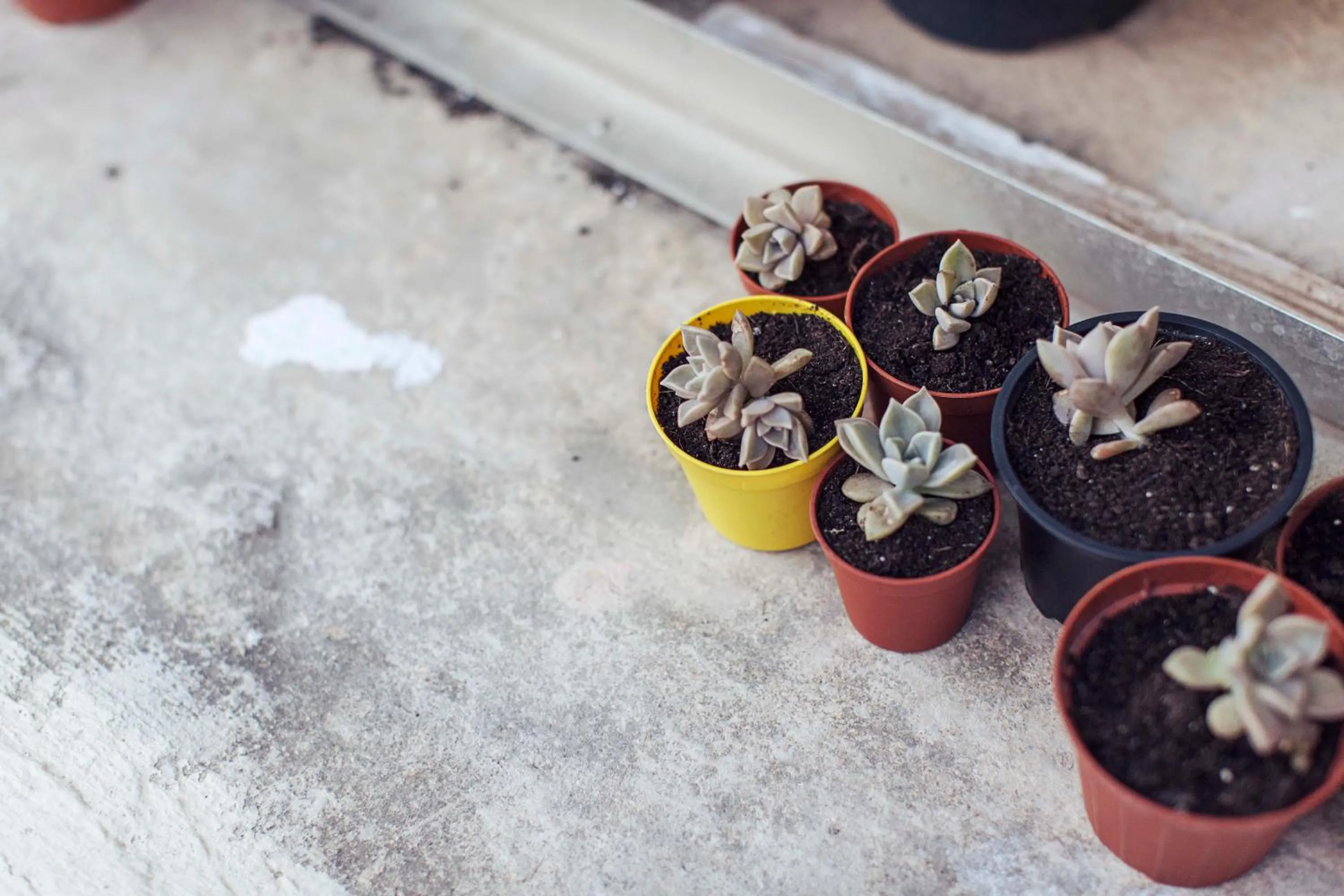 Balcony/Terrace in Granny's Inn Hostel