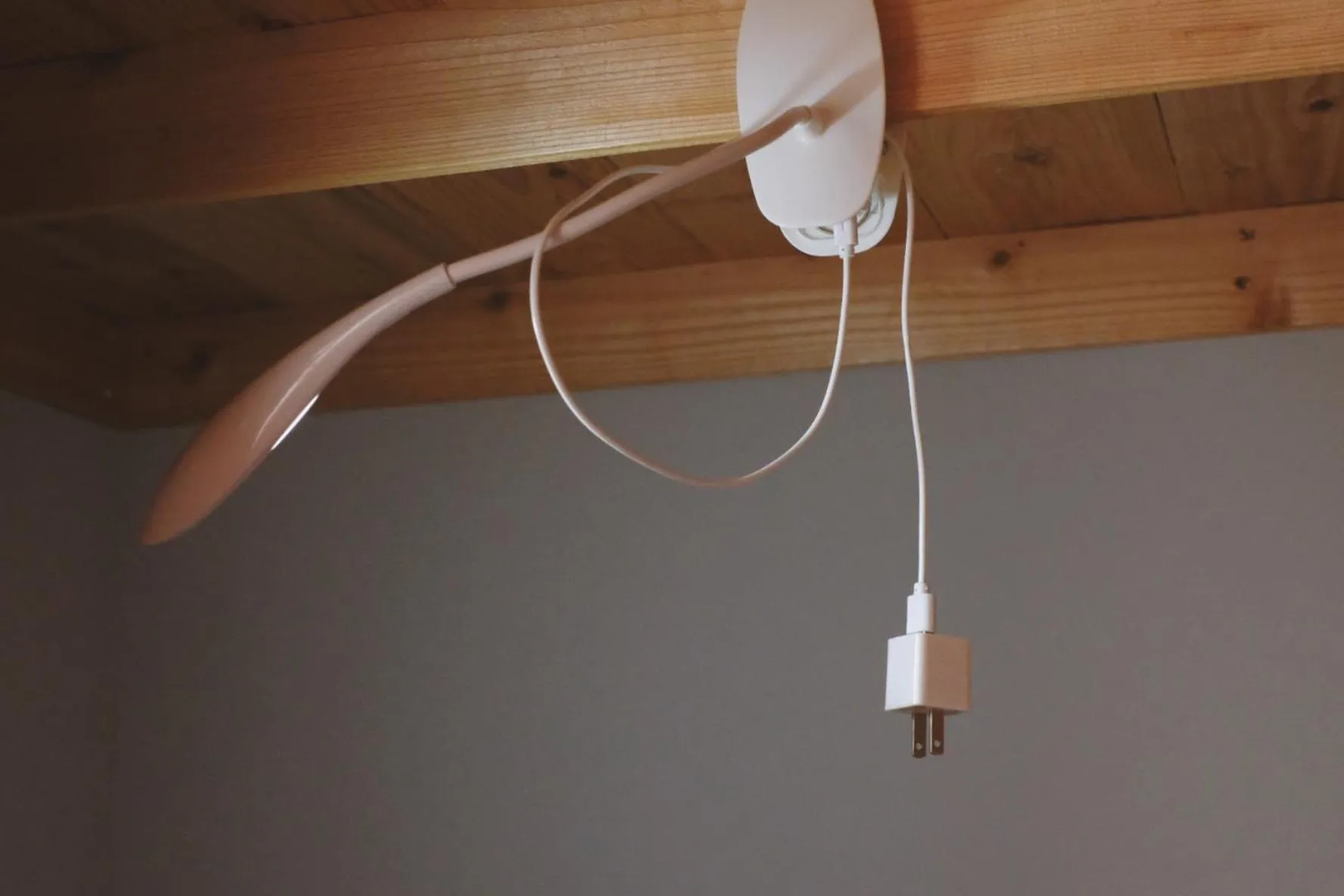 Other in Beppu hostel&cafe ourschestra