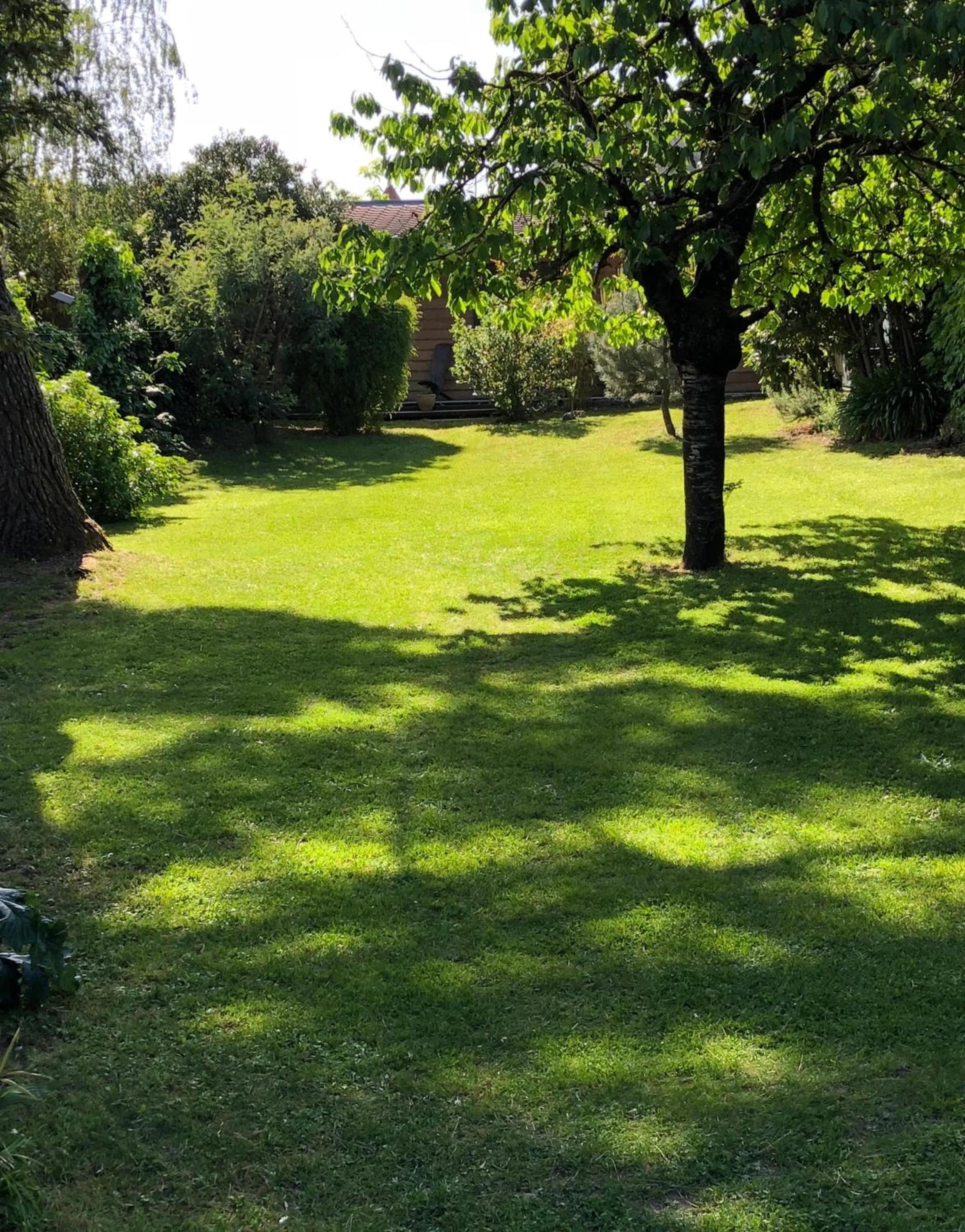 Garden in Chambre d'Hôtes du Clos Bamboo