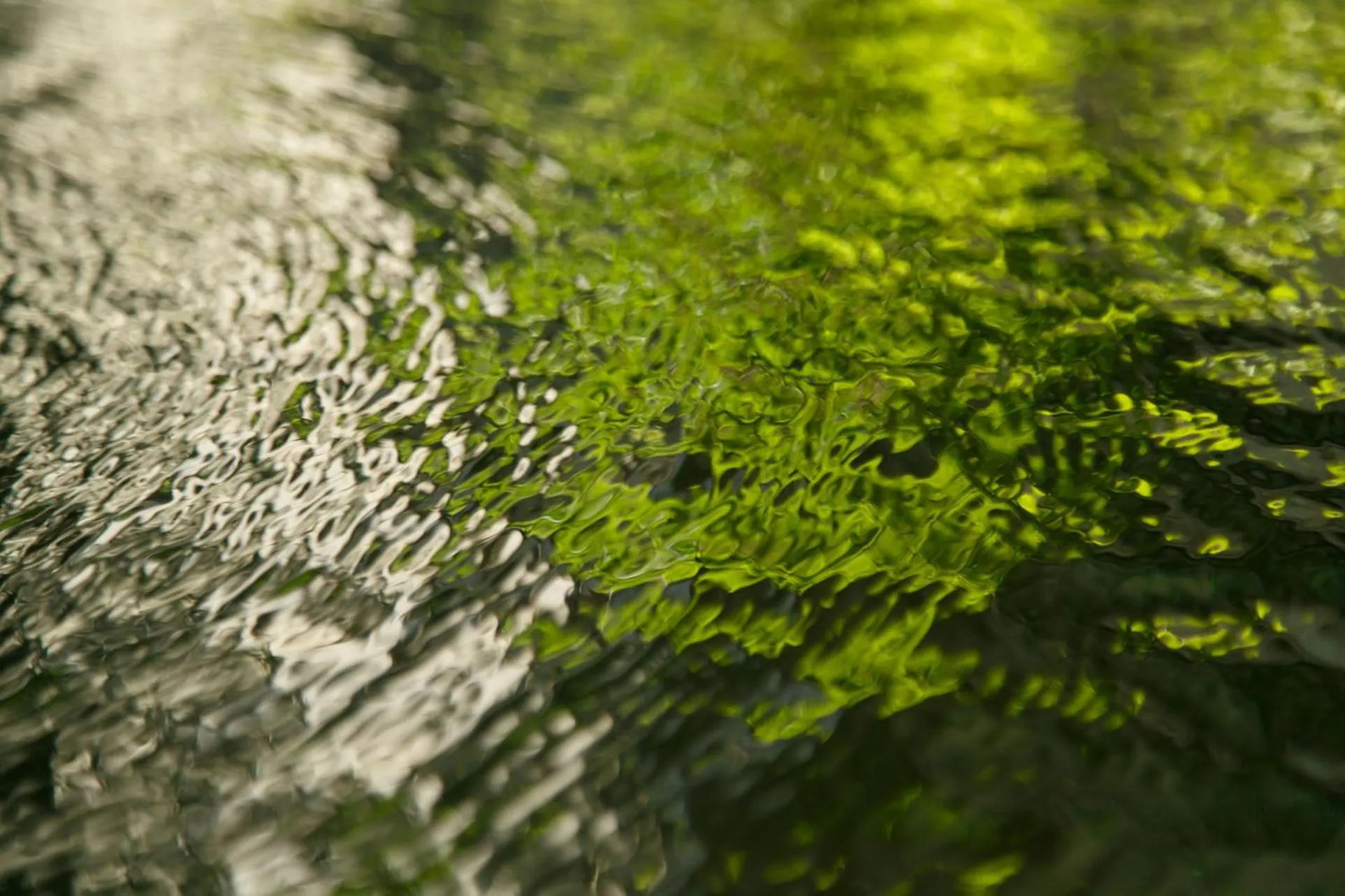 Hot Spring Bath in Shaga-no-Sato Yumeya