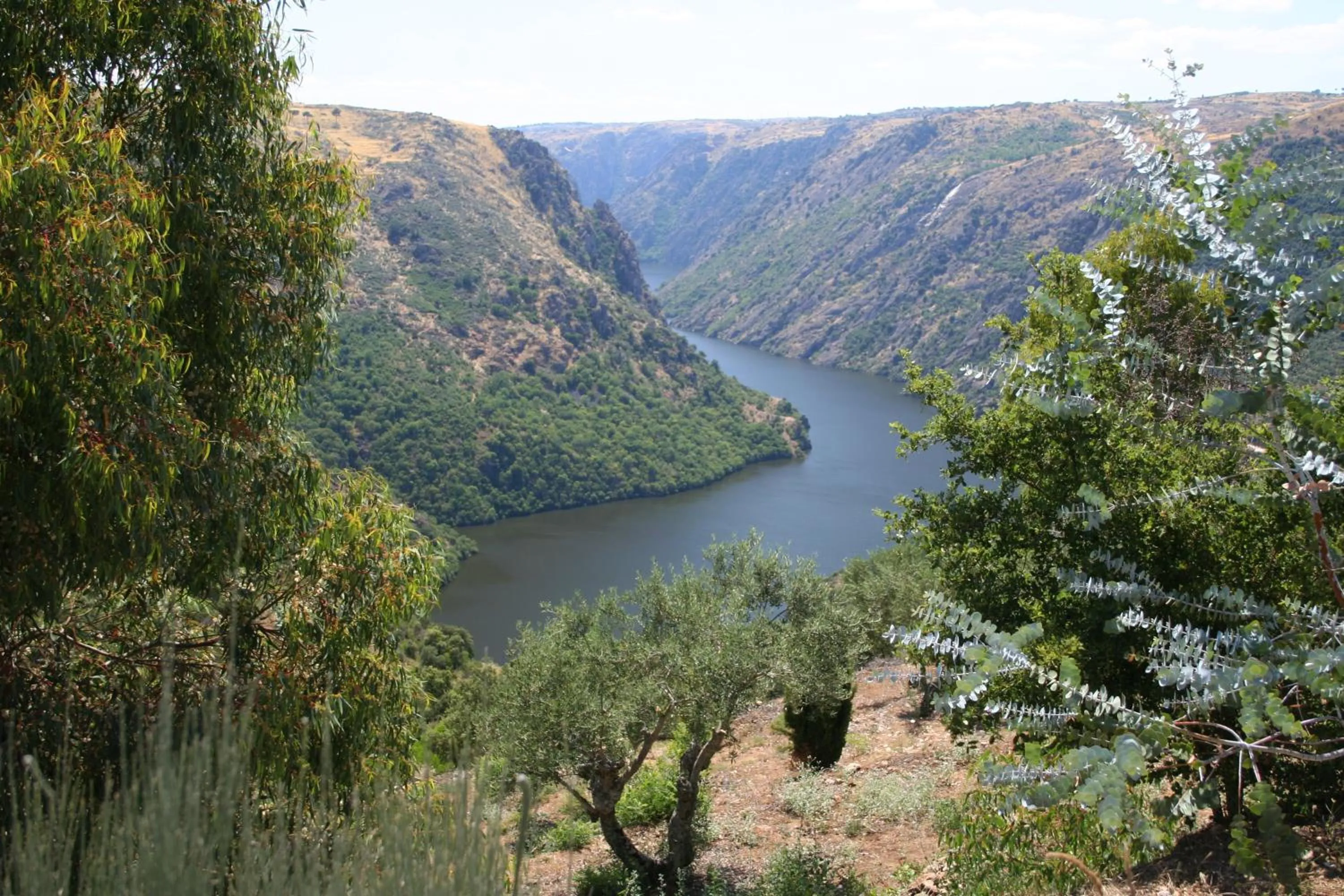 Area and facilities in Hotel Rural Corazón de las Arribes