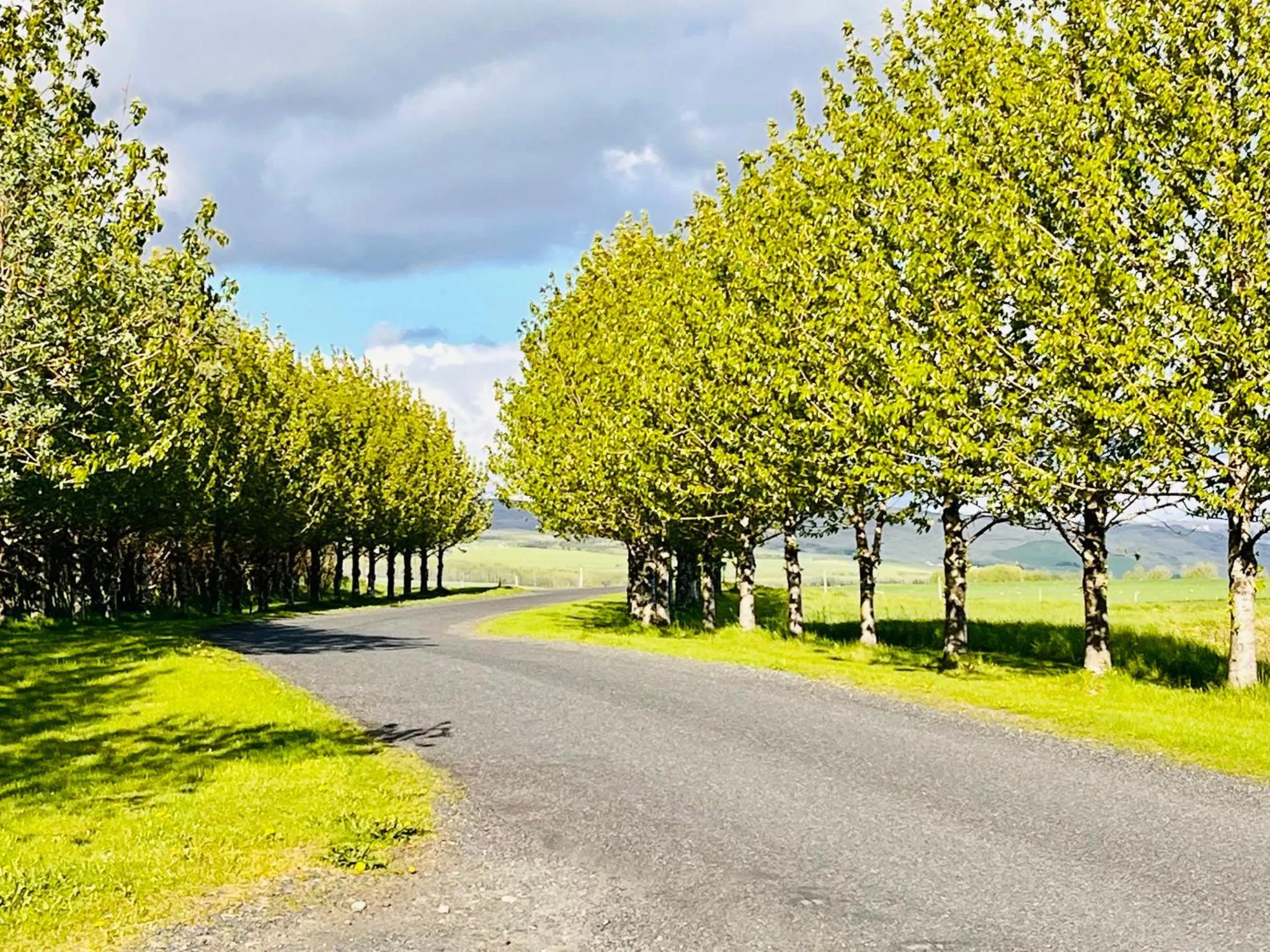 Natural landscape in Hellisholar Cottages