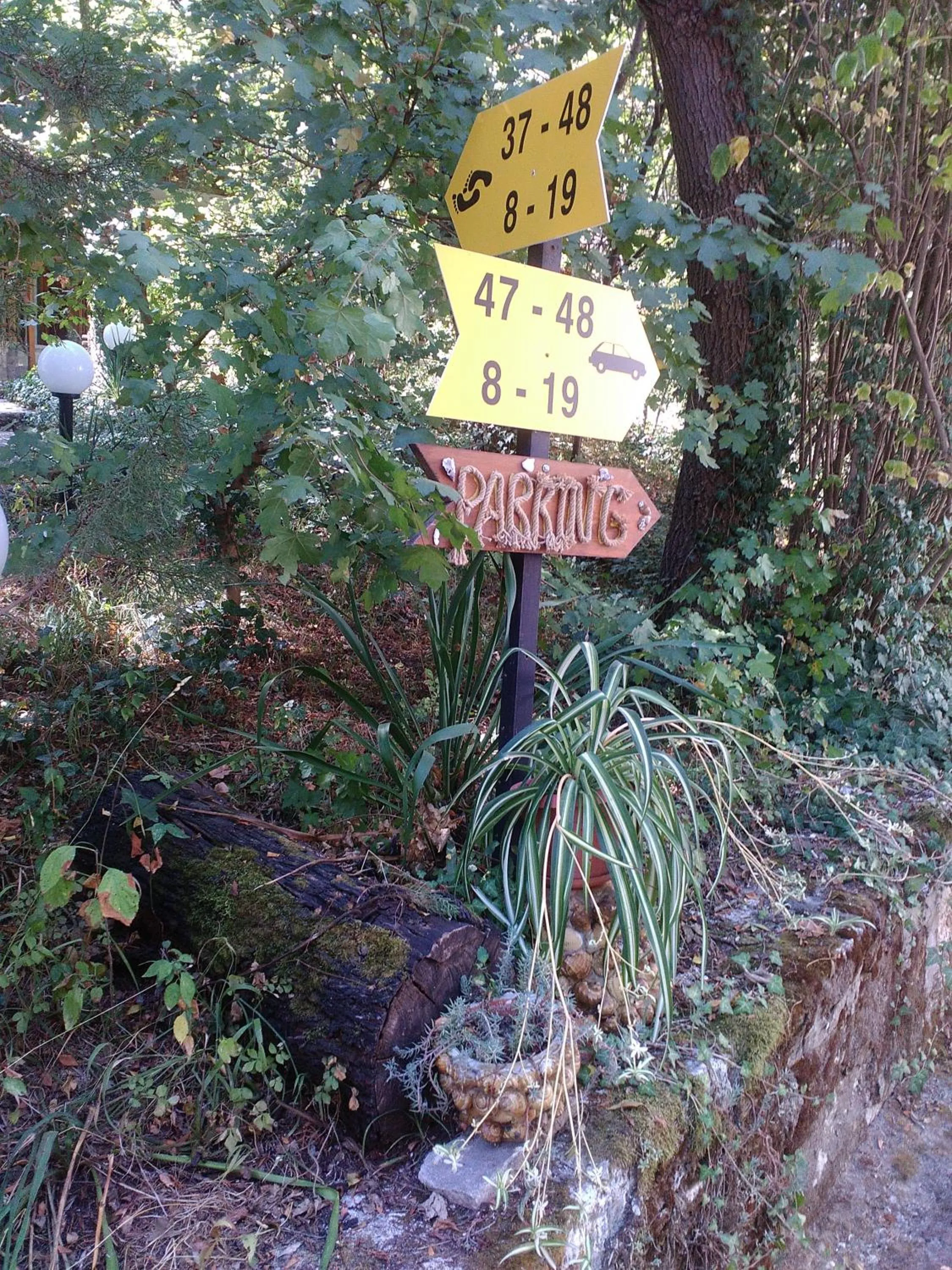 Garden view in Nimpha Bungalows