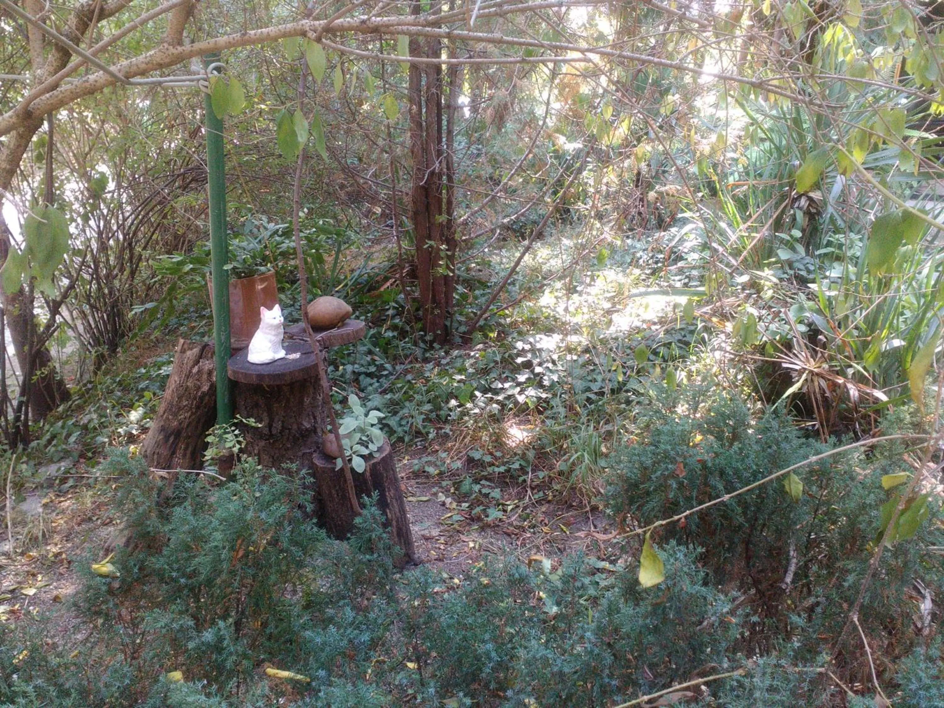 Garden in Nimpha Bungalows