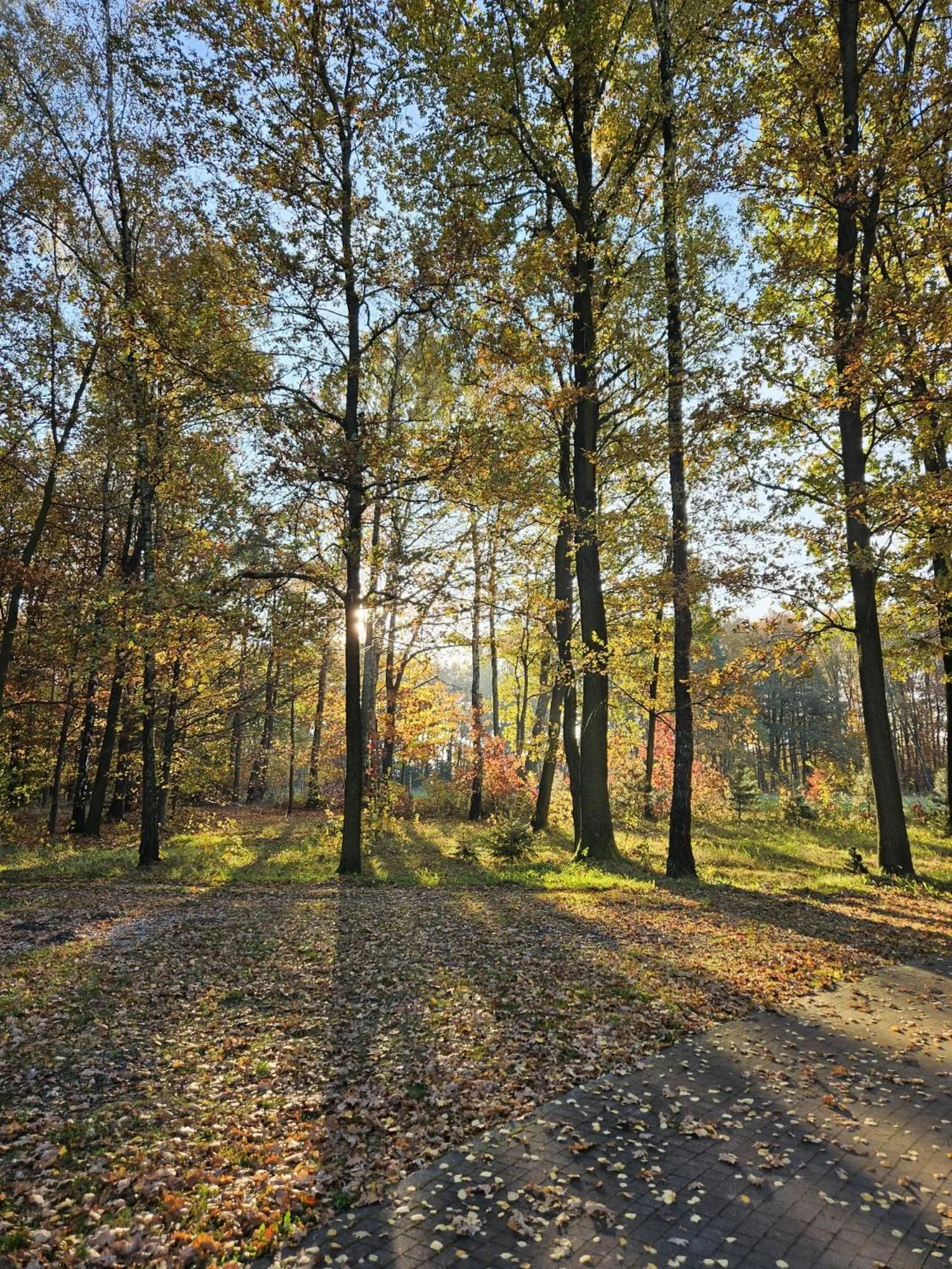 Natural landscape in Hotel & Restauracja Timberland