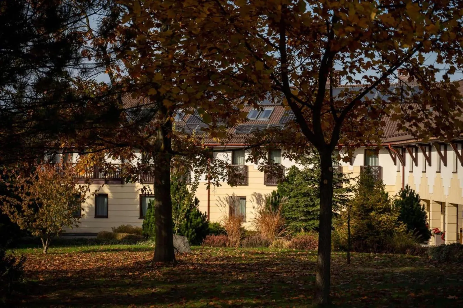 Property building in Hotel & Restauracja Timberland