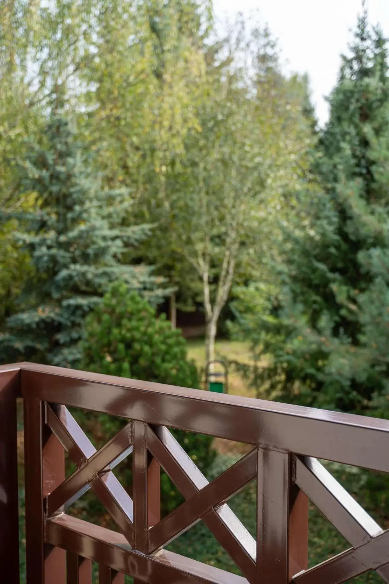 Single Room with Garden View - single occupancy in Hotel & Restauracja Timberland Single Room with Garden View - single occupancy in Hotel & Restauracja Timberland