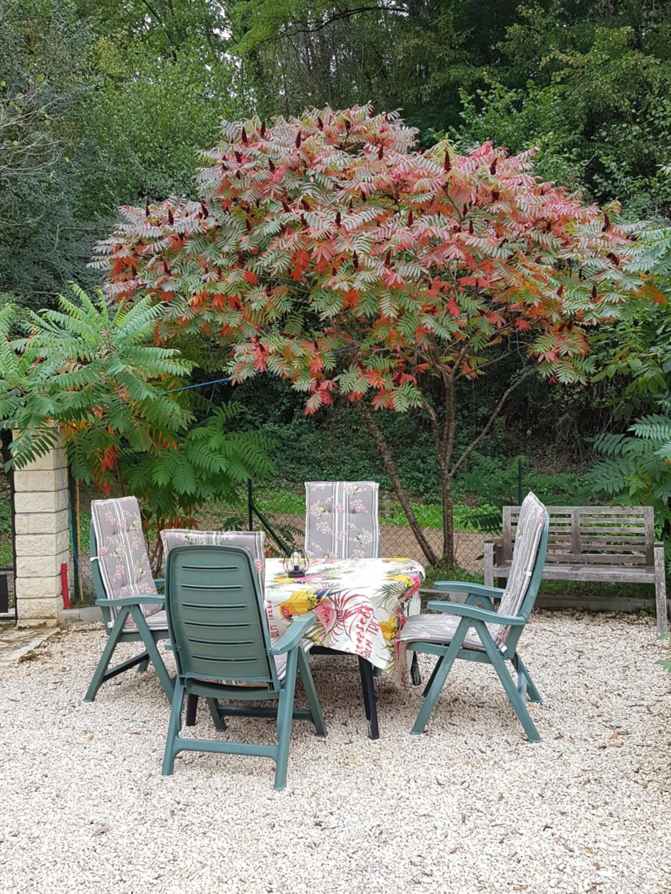 Patio in La Perle De Frayssinet-Le-Gélat - Chambre d'Hôtes - B&B