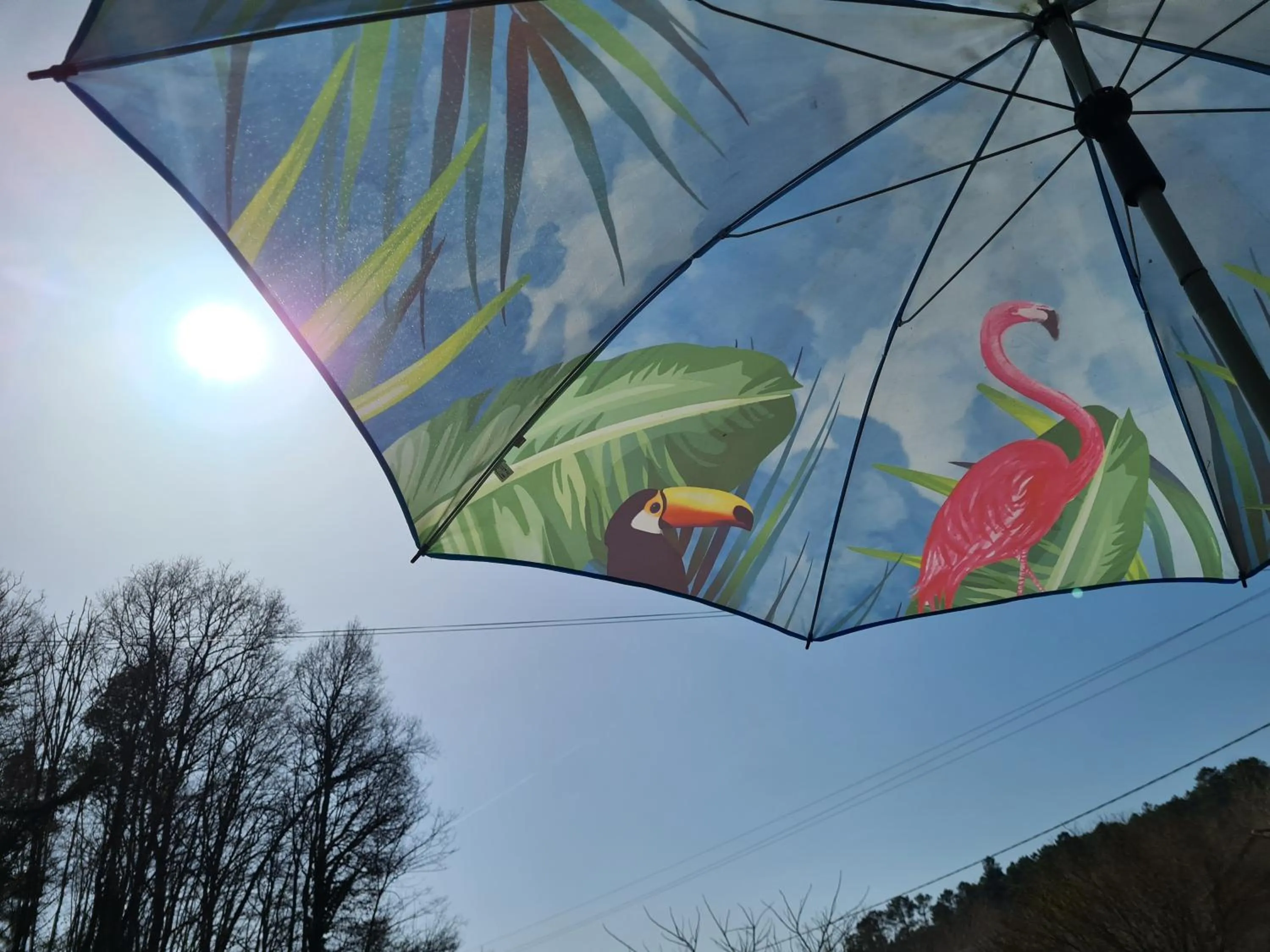 Day in La Perle De Frayssinet-Le-Gélat - Chambre d'Hôtes - B&B