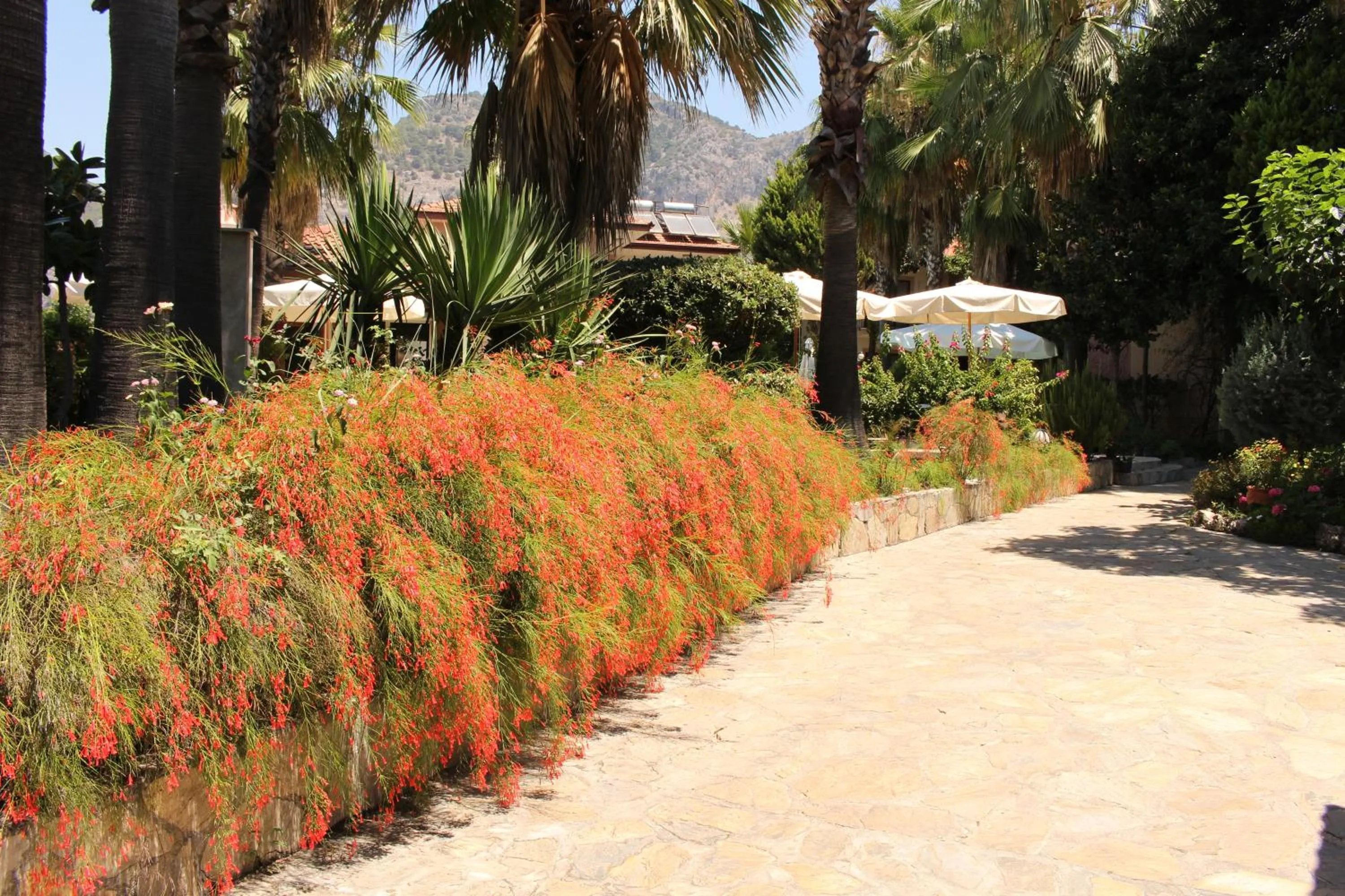 Facade/entrance in Nirvana Hotel