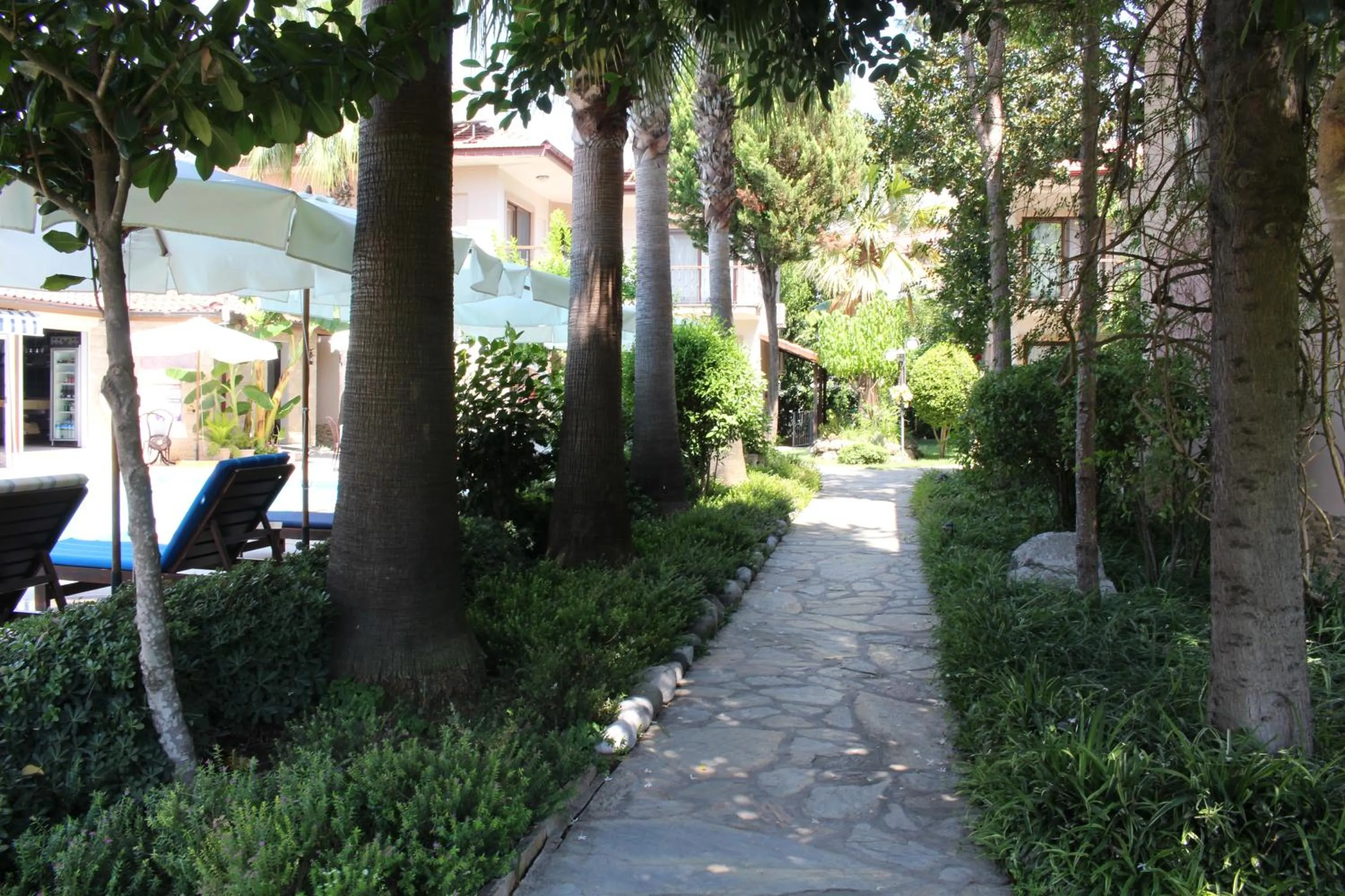 Garden view in Nirvana Hotel