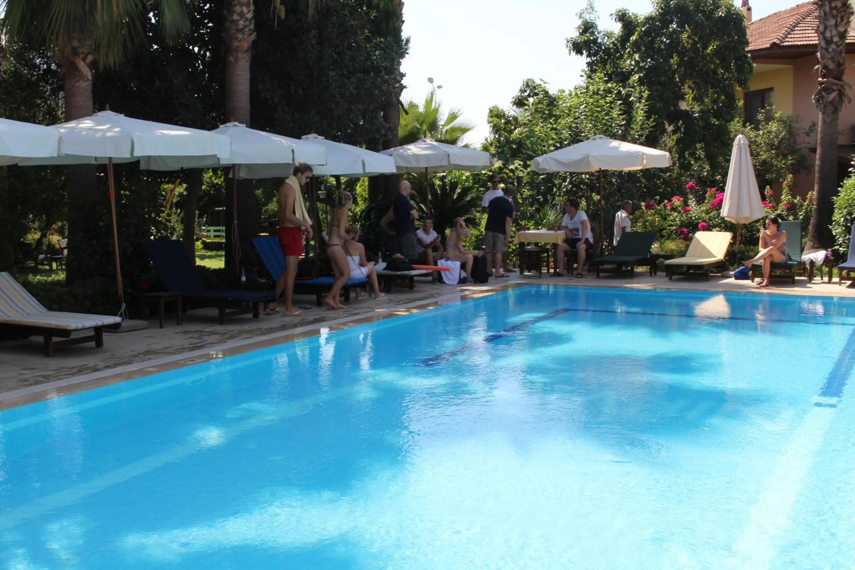 Pool view in Nirvana Hotel