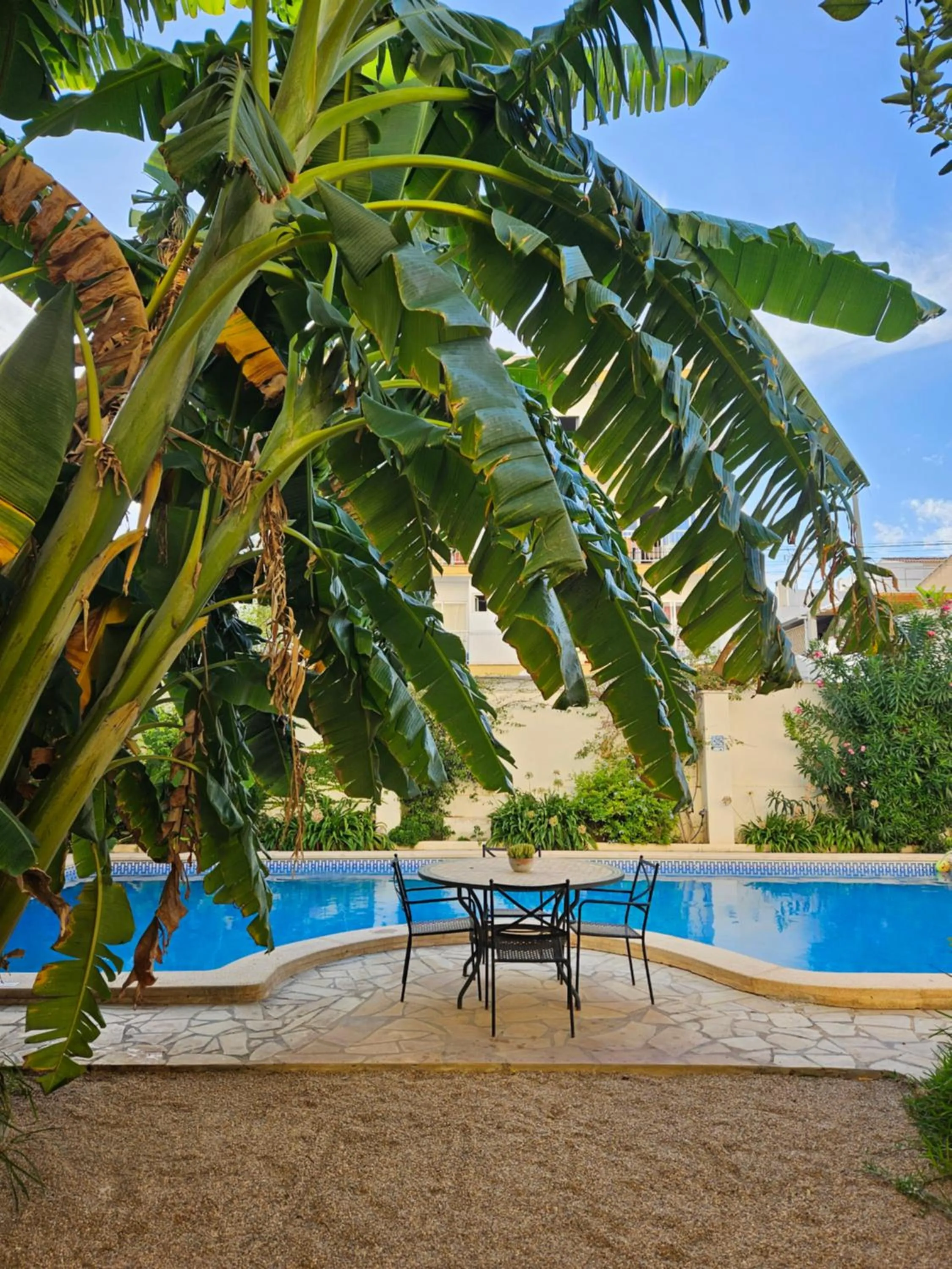 Swimming pool in Mamboo Hotel Cala Ratjada