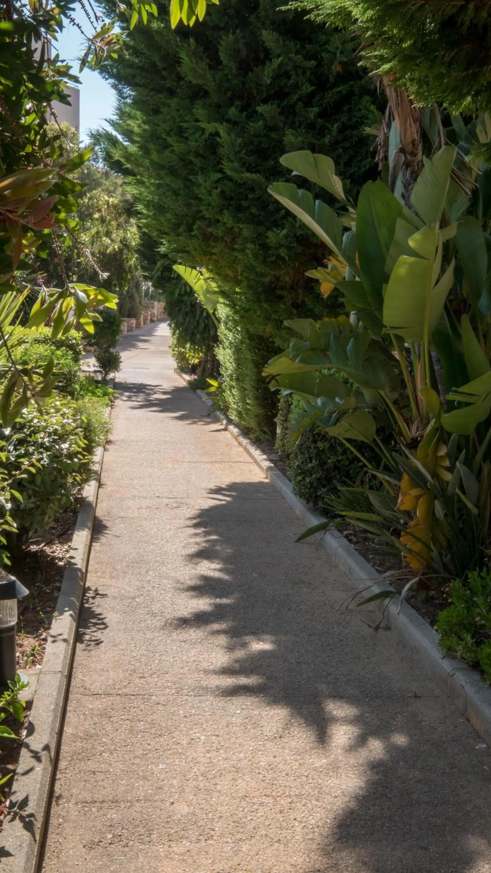 Garden in Sol Mar