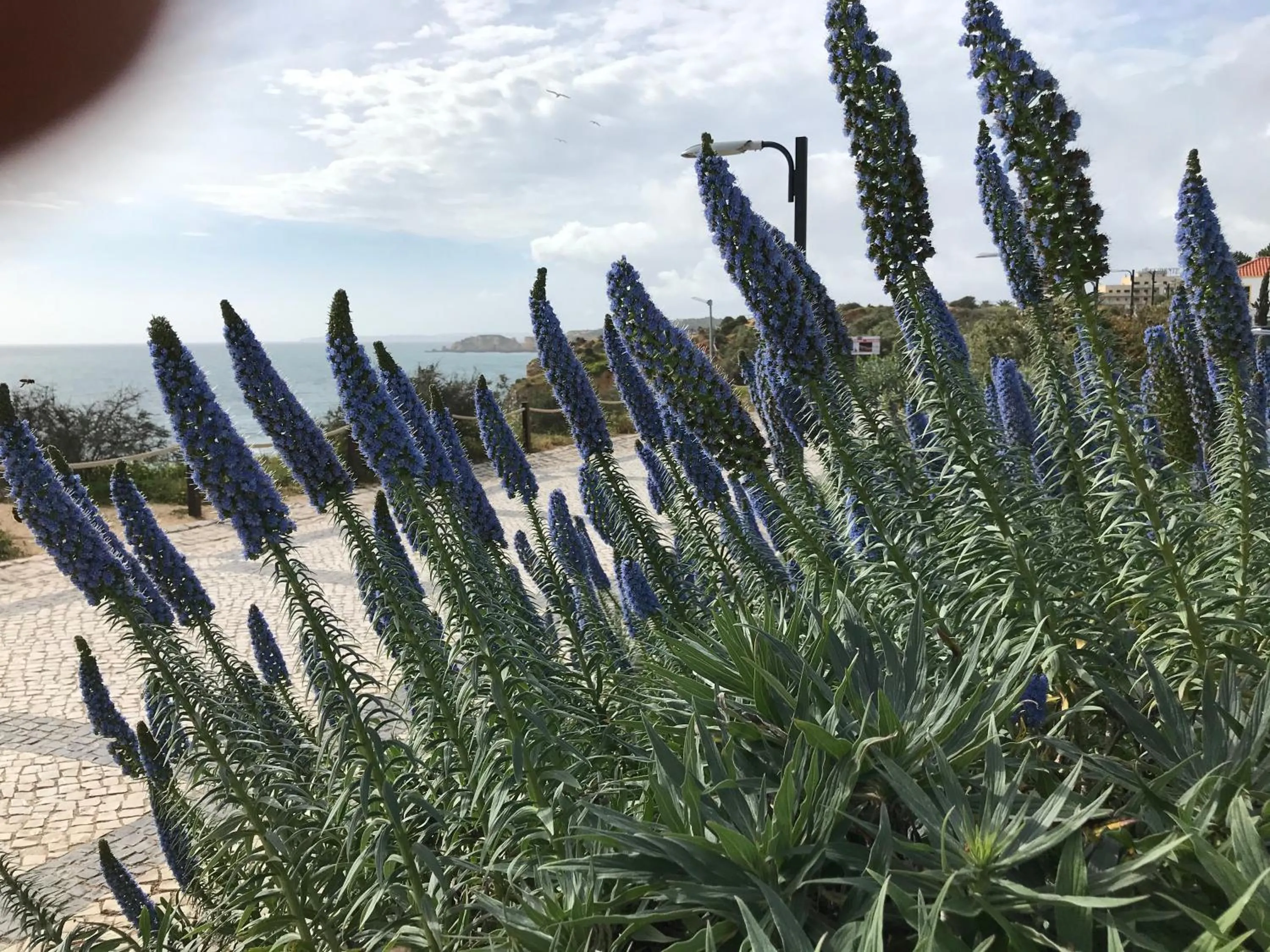 Natural landscape in Sol Mar