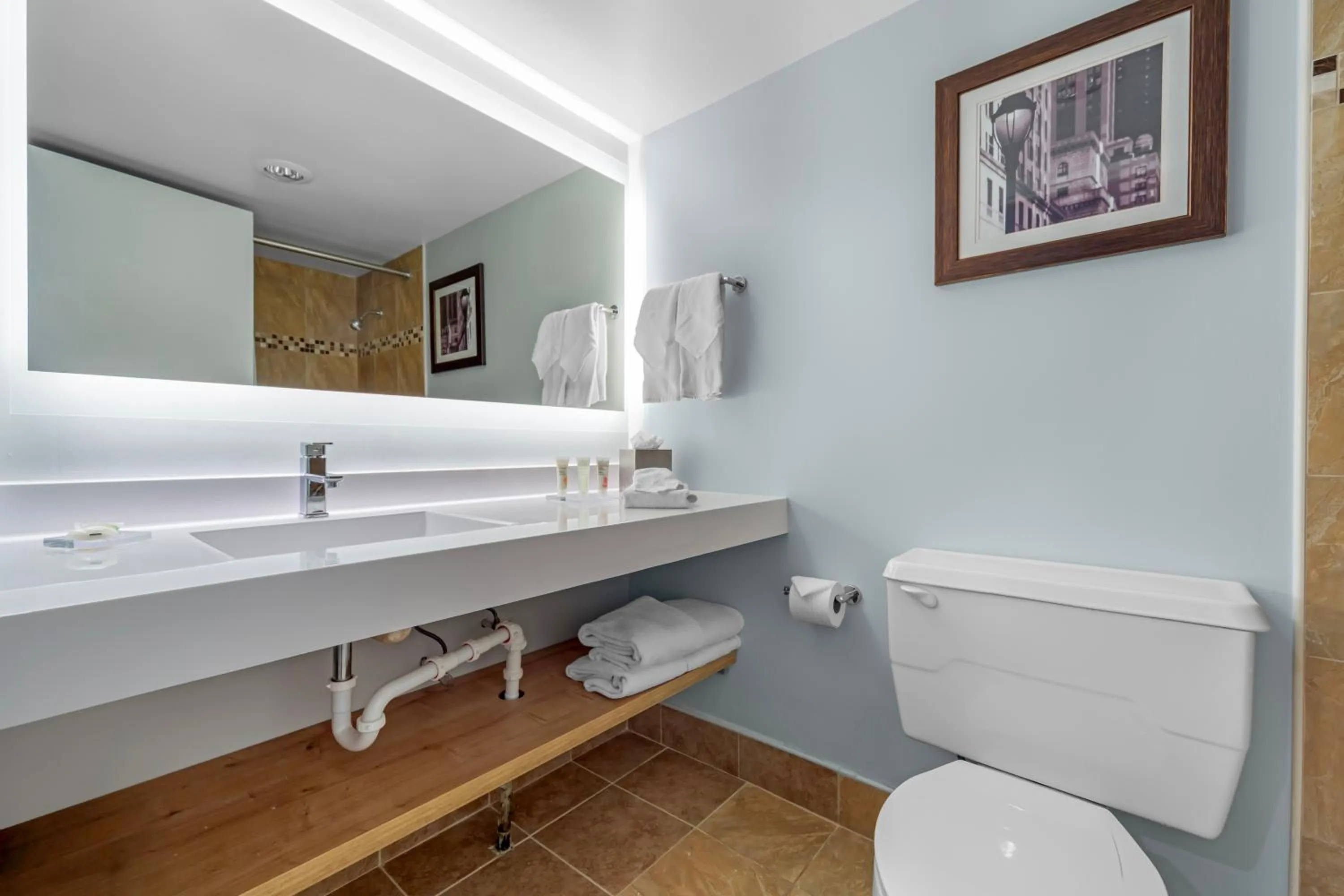 Bathroom in Radisson Hotel Philadelphia Northeast