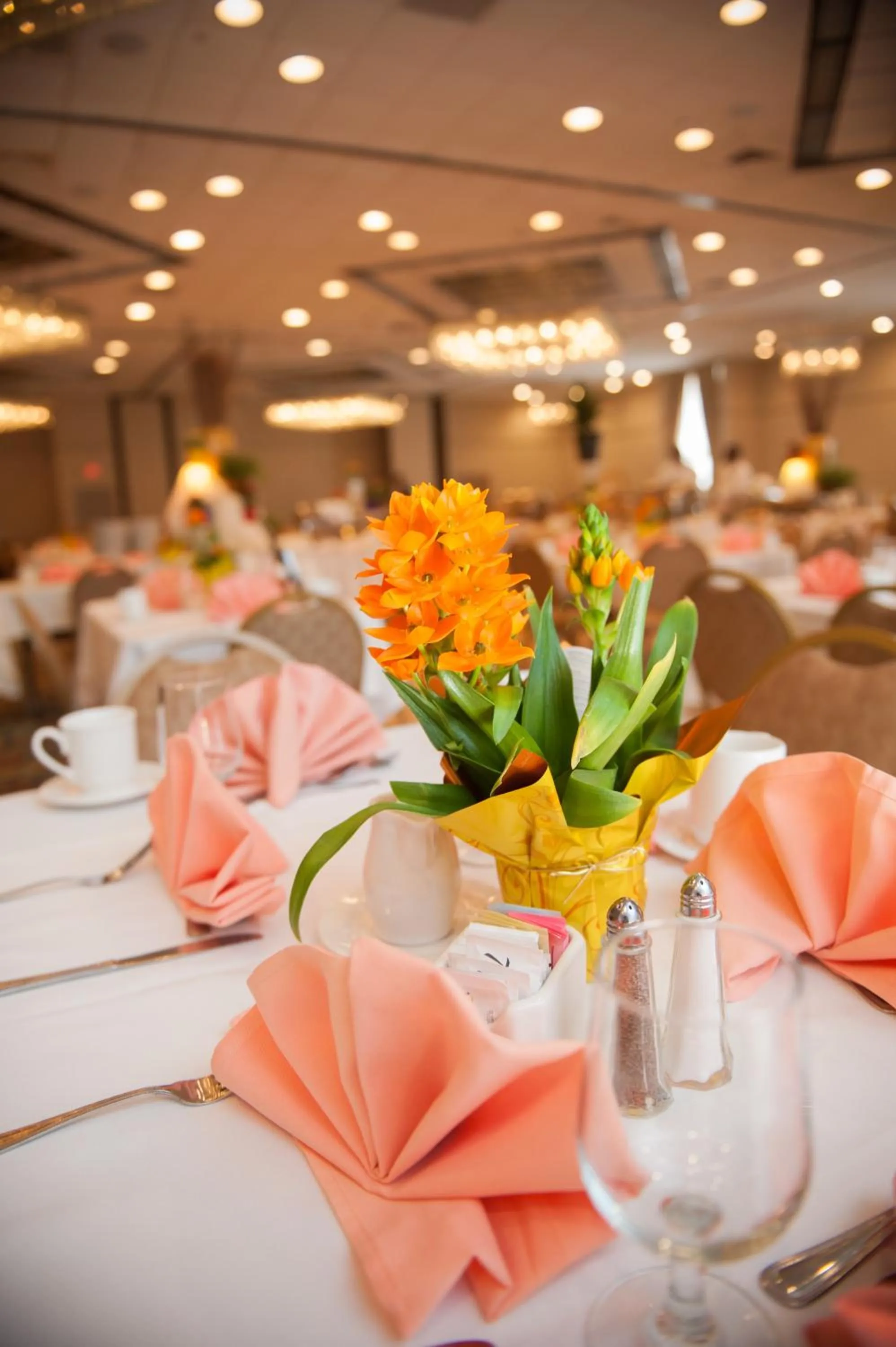 Banquet/Function facilities in Radisson Hotel Philadelphia Northeast