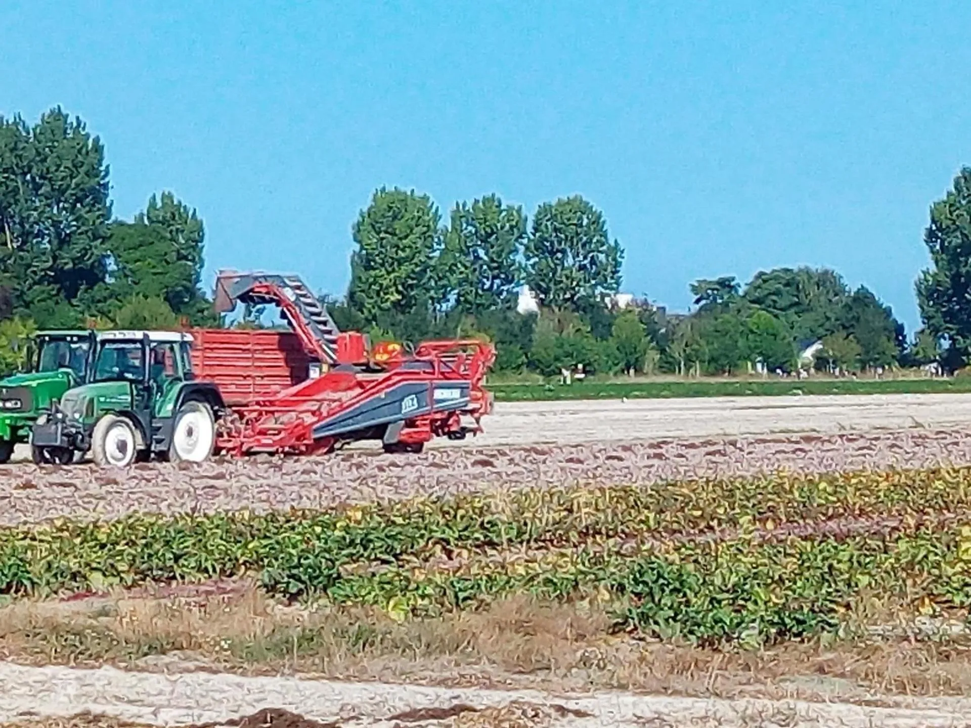 View (from property/room) in La Jacotière