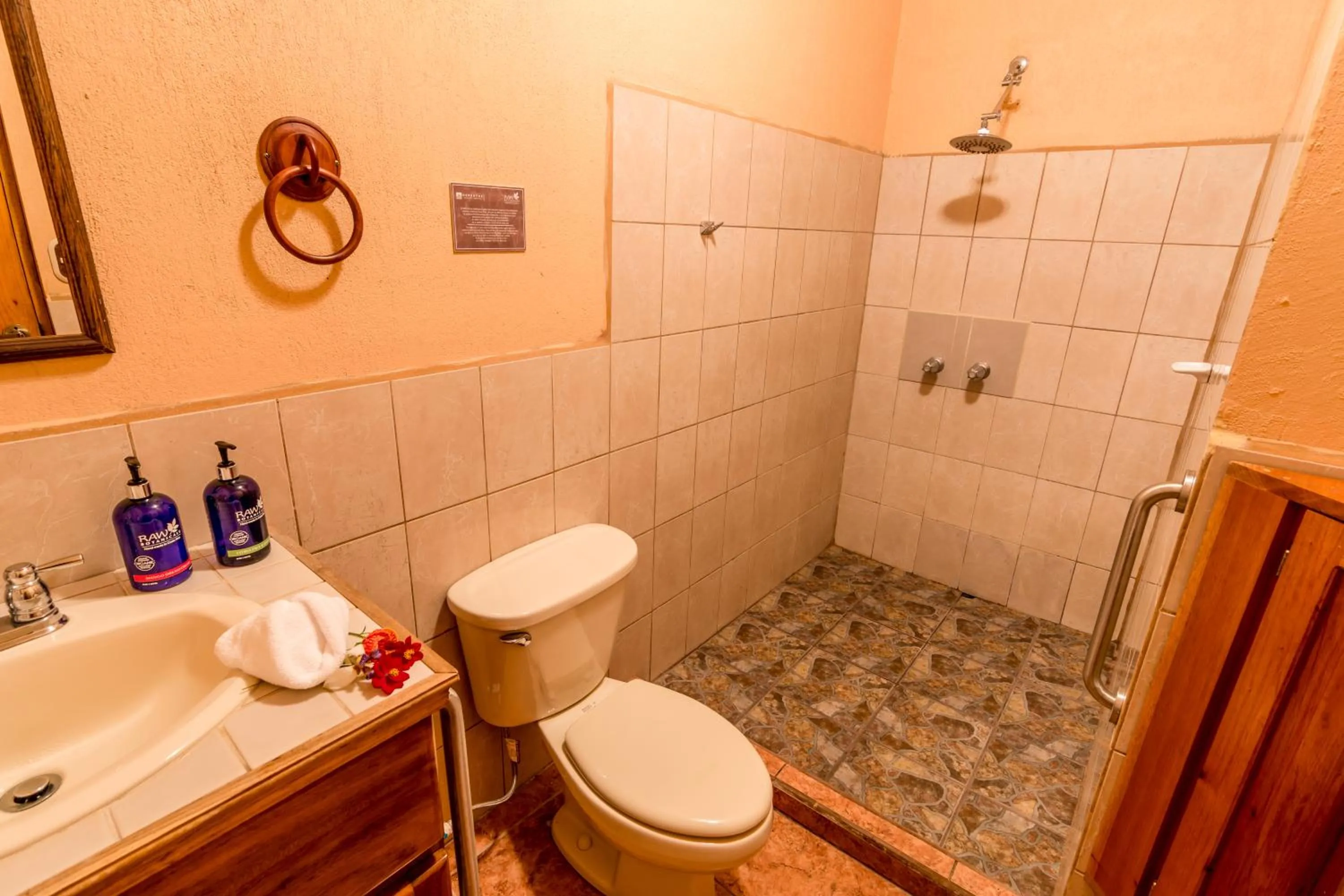 Shower in Hotel Nepenthe B&B