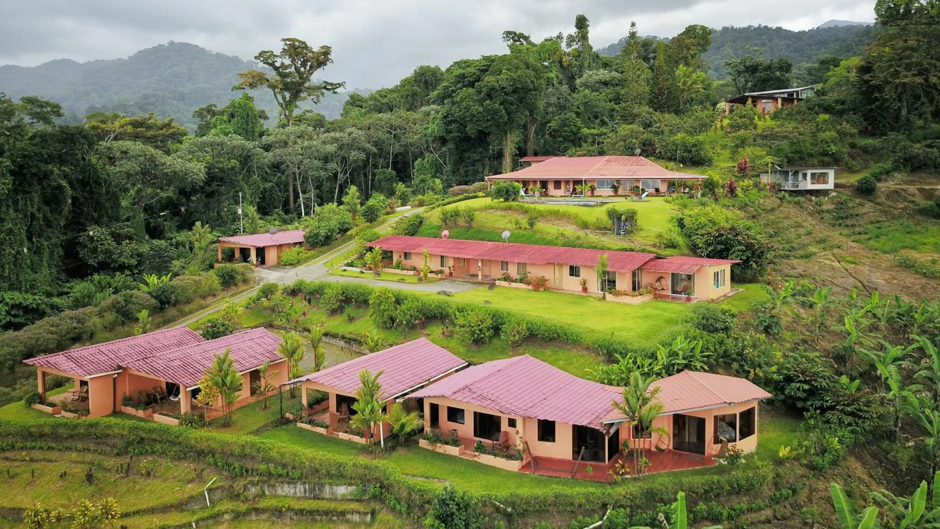 Property building in Hotel Nepenthe B&B