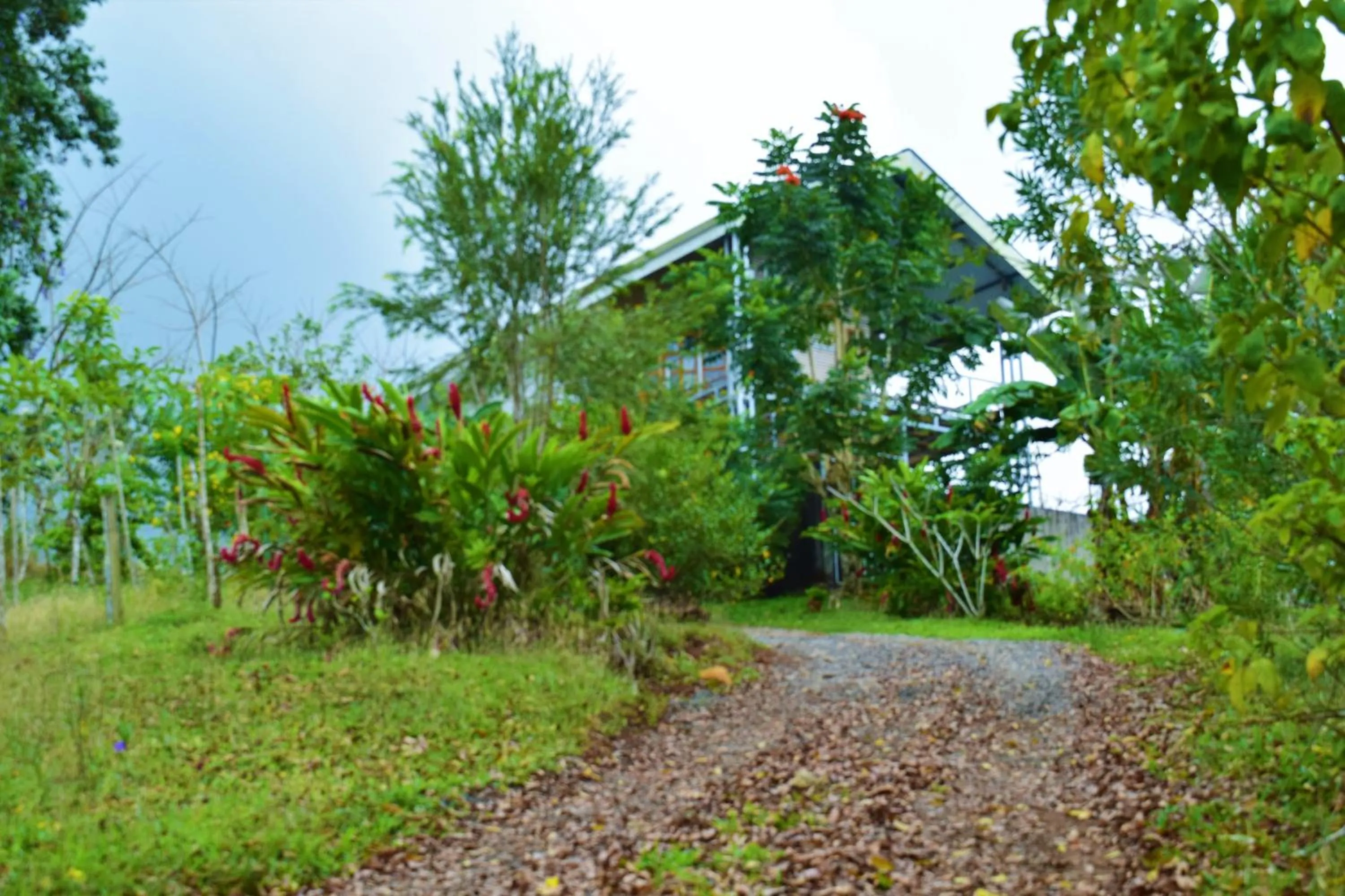 Property building in Hotel Rio Celeste Finca L´ Etoile Celeste