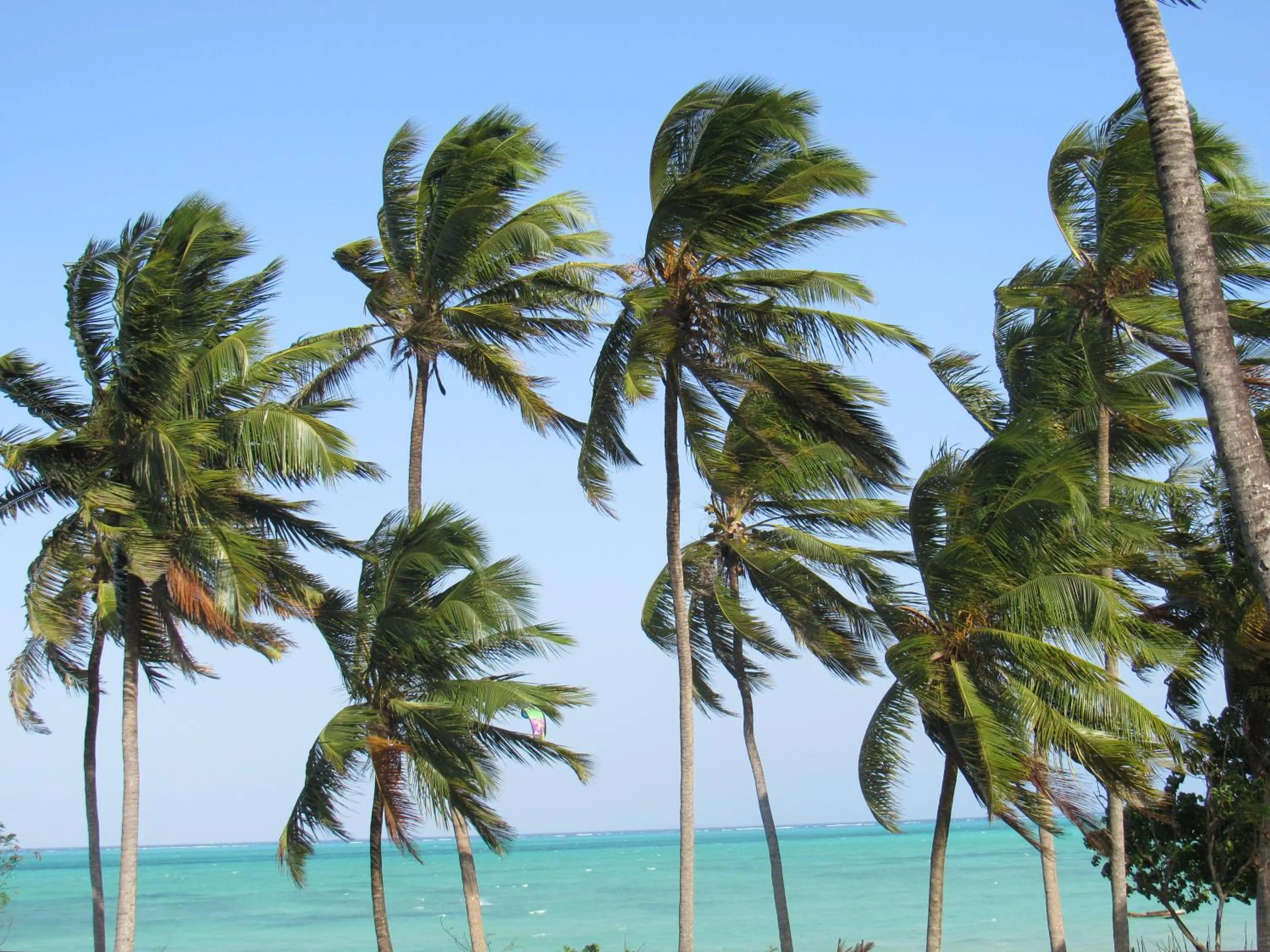 Beach in Furaha Lodge