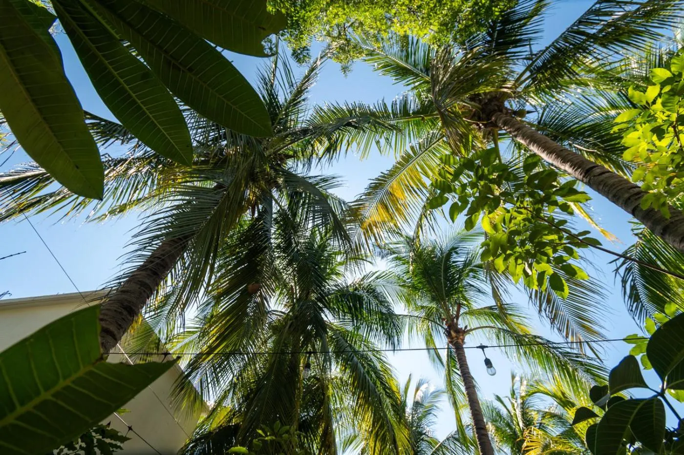 Hotel Villa Mozart y Macondo