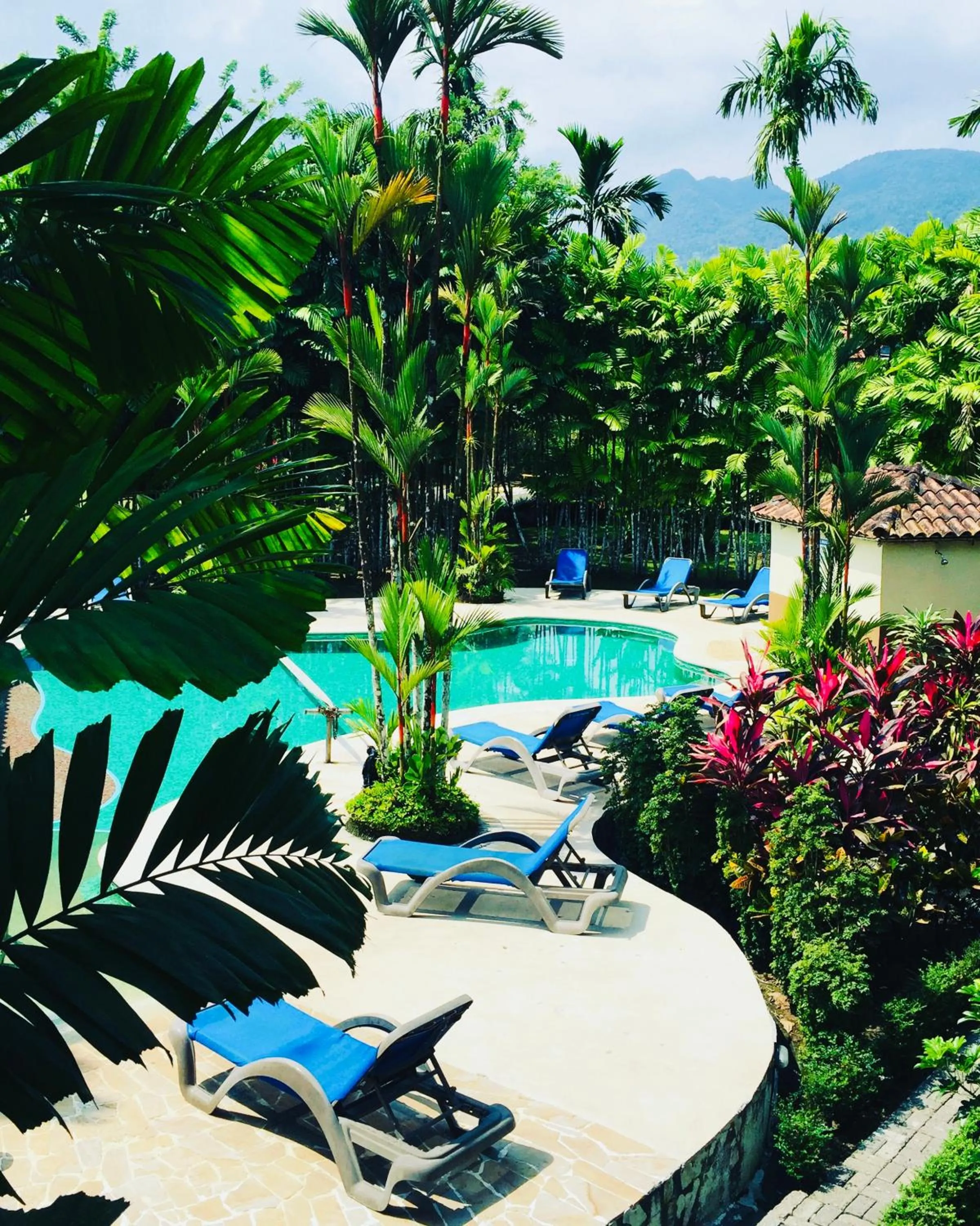 Pool view in Arenal Backpackers Resort