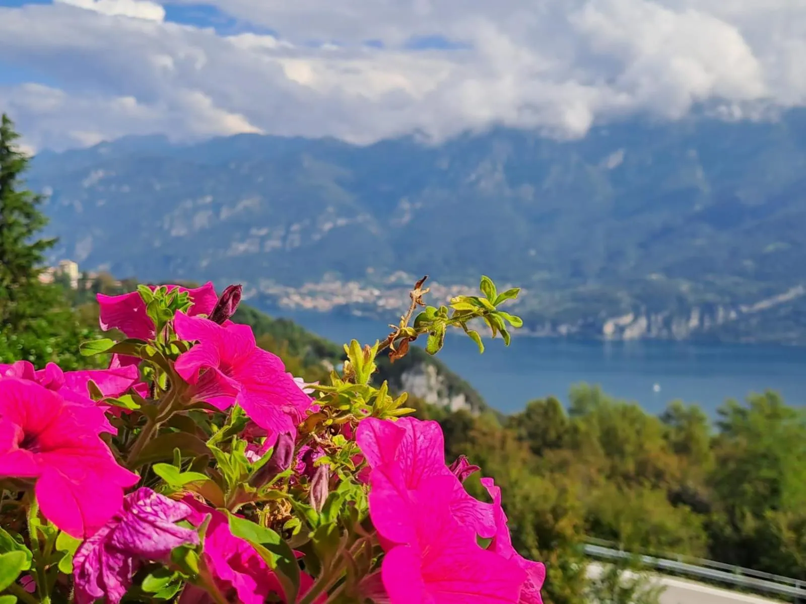 Bed & Breakfast Bellagio