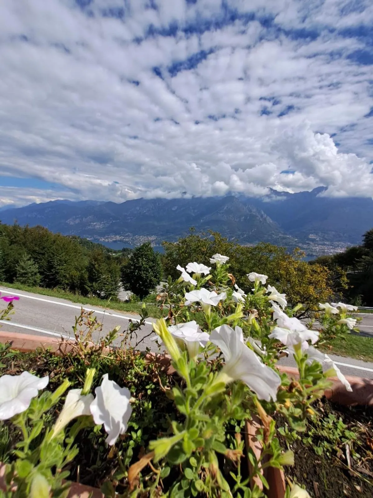 Bed & Breakfast Bellagio