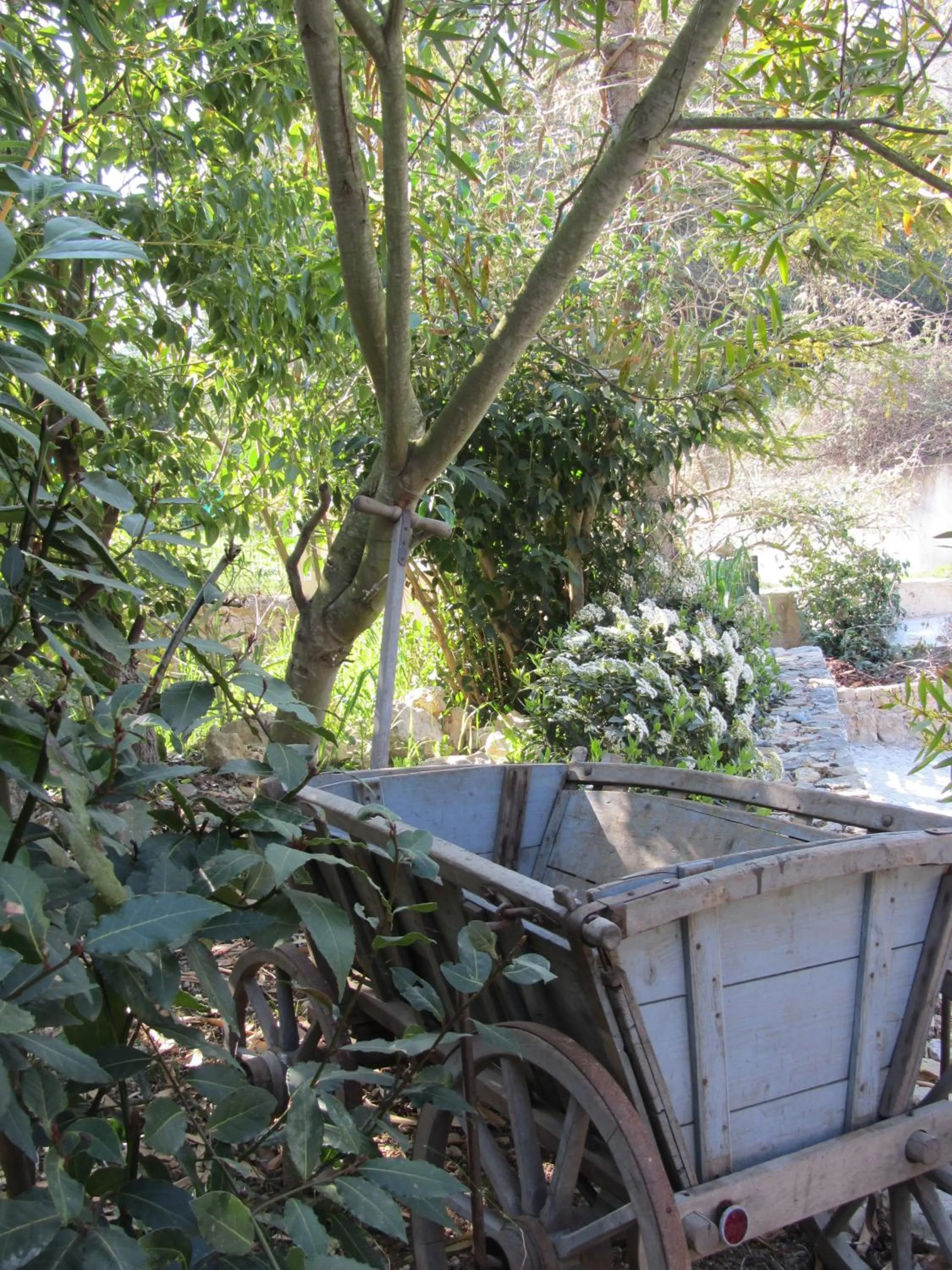 Garden in Les Rosées
