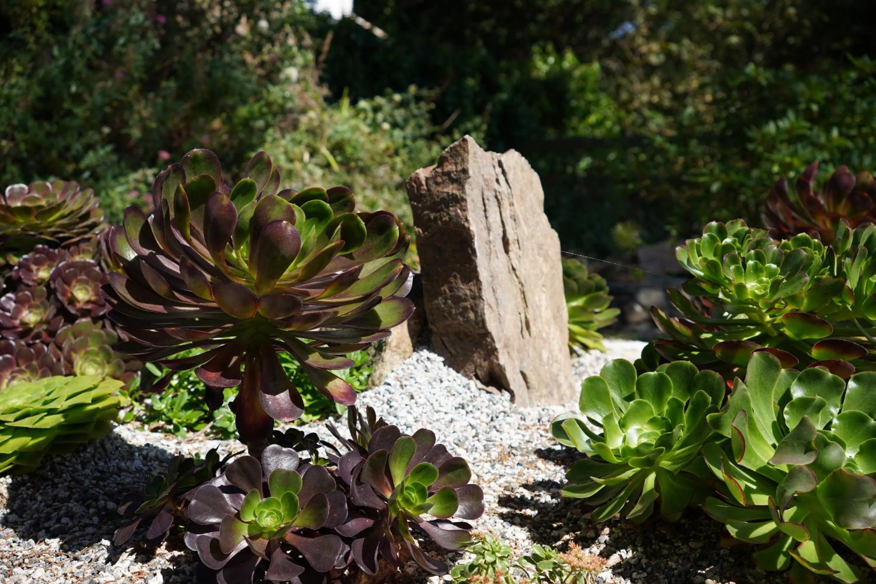 Property building in Penquite Holiday Accommodation