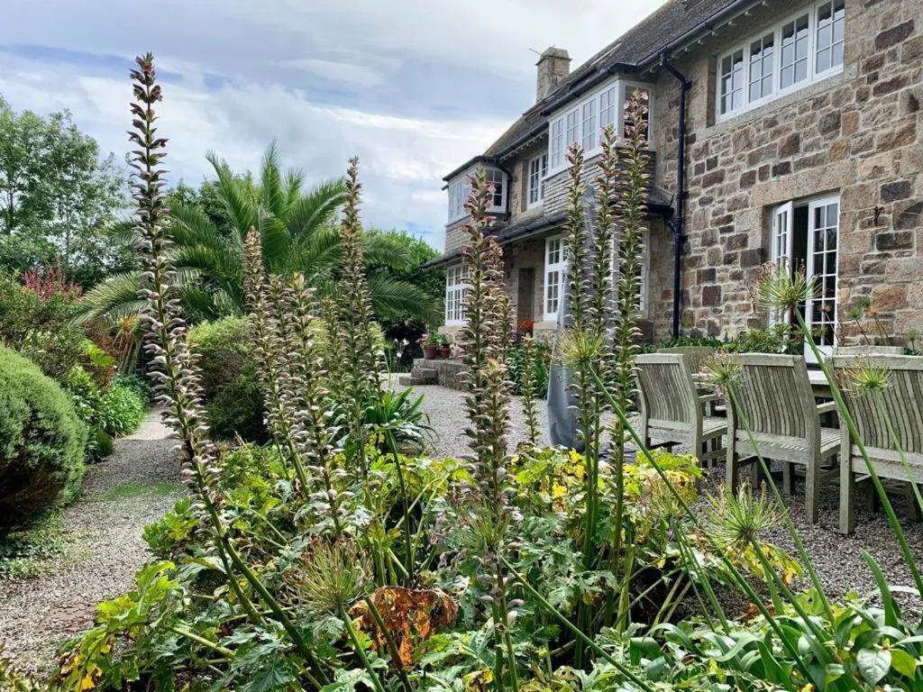 Garden in Penquite Holiday Accommodation