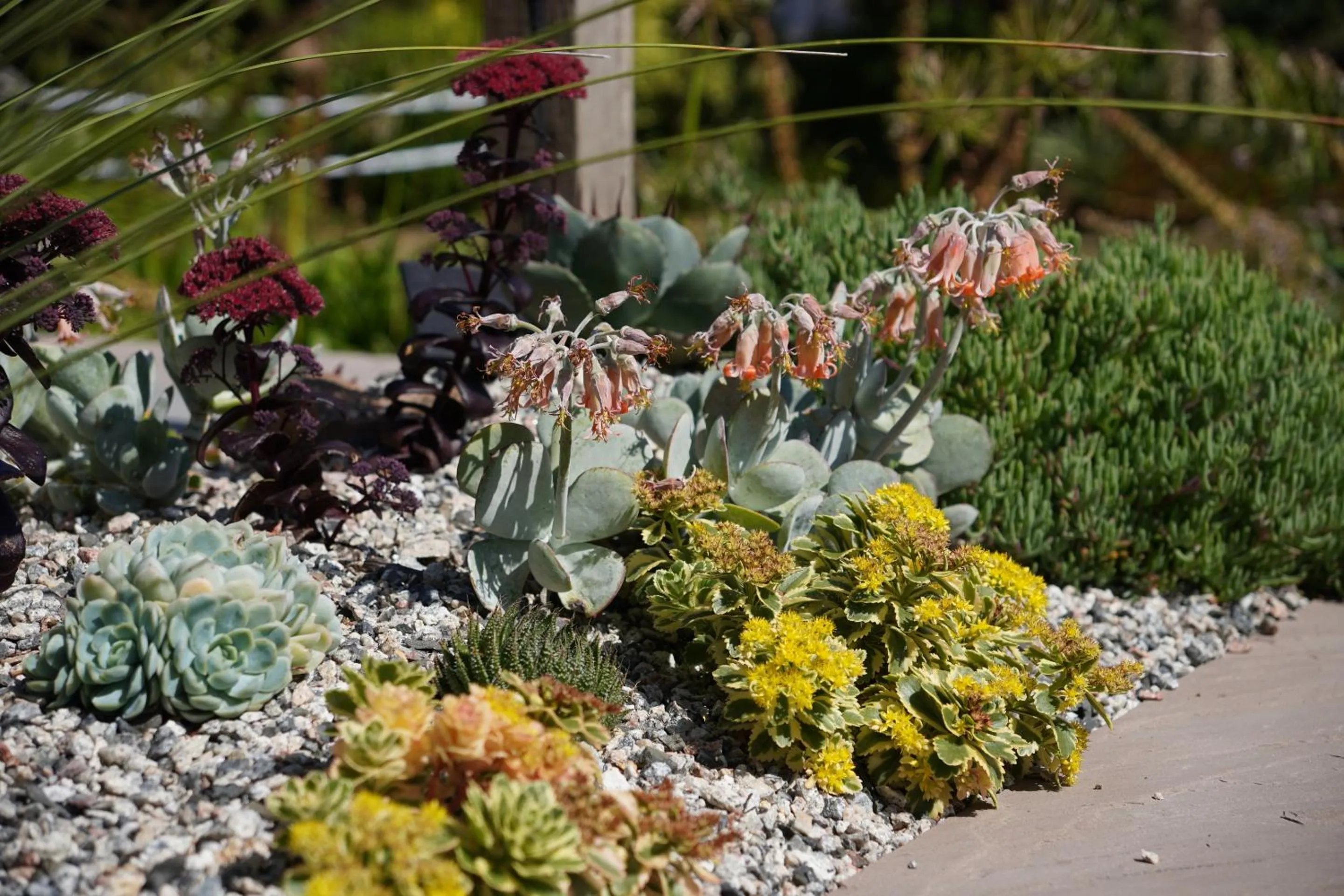 Property building in Penquite Holiday Accommodation