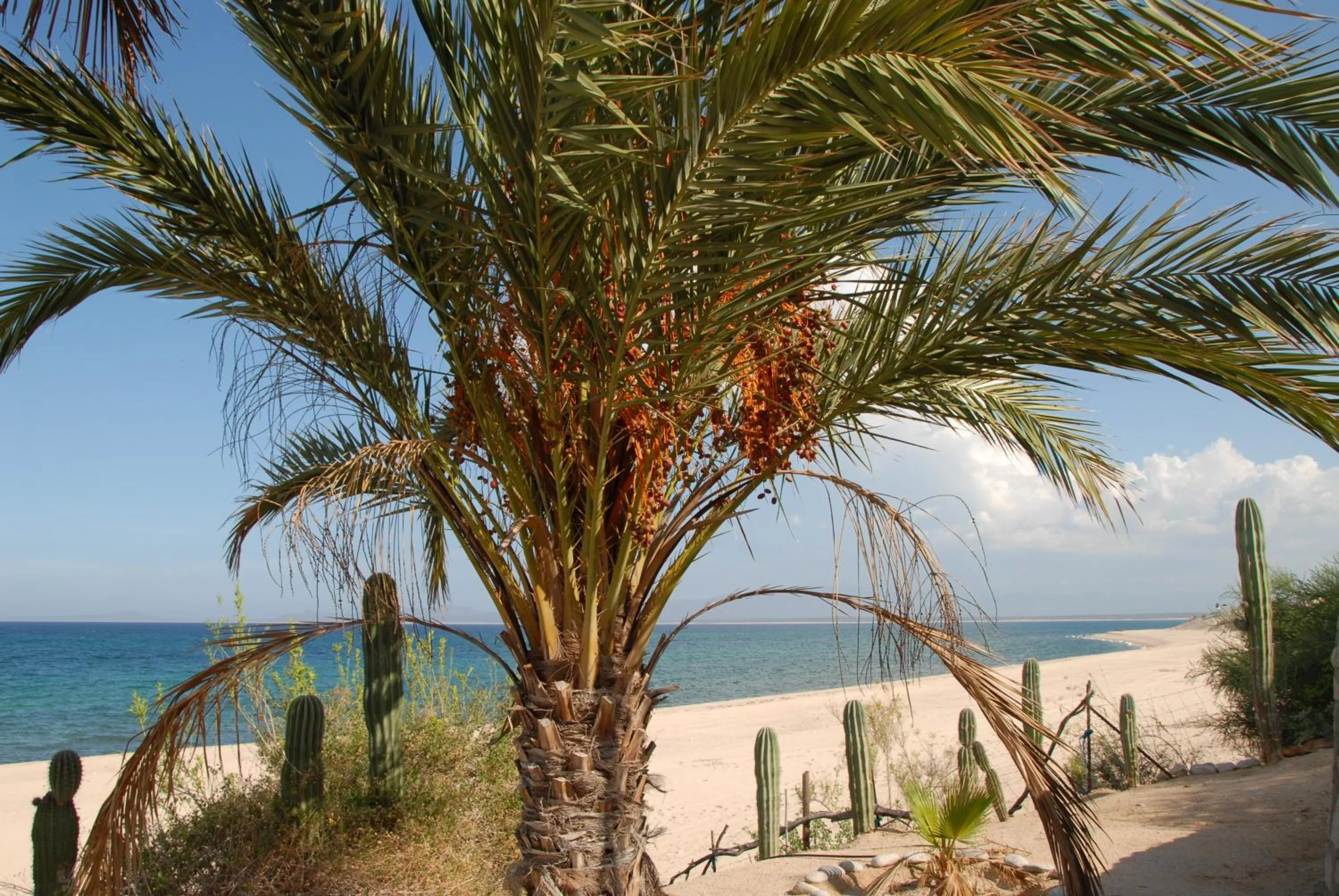 Sea view in Ventana Bay Resort