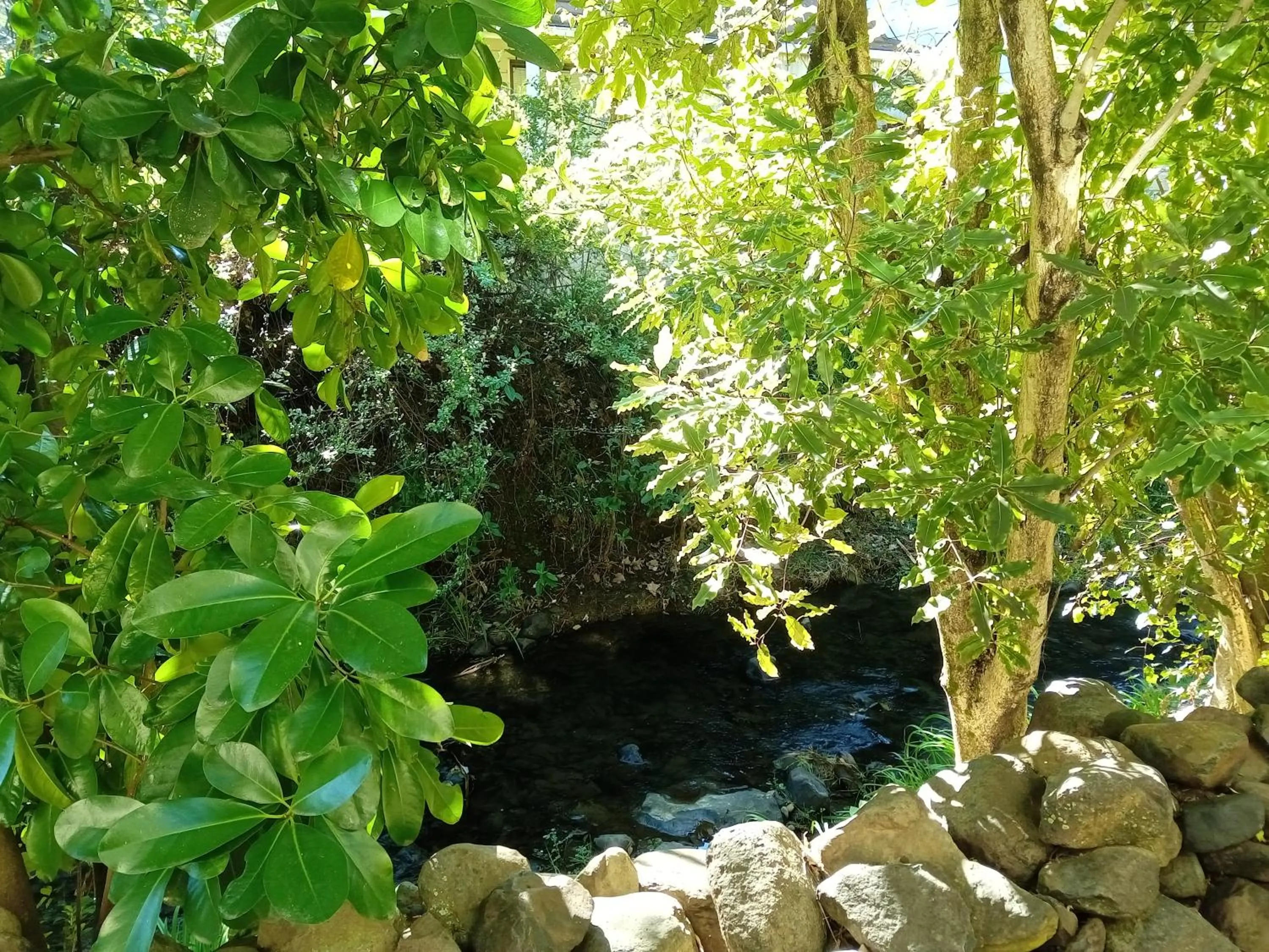 Natural landscape in La Rochelle Motel